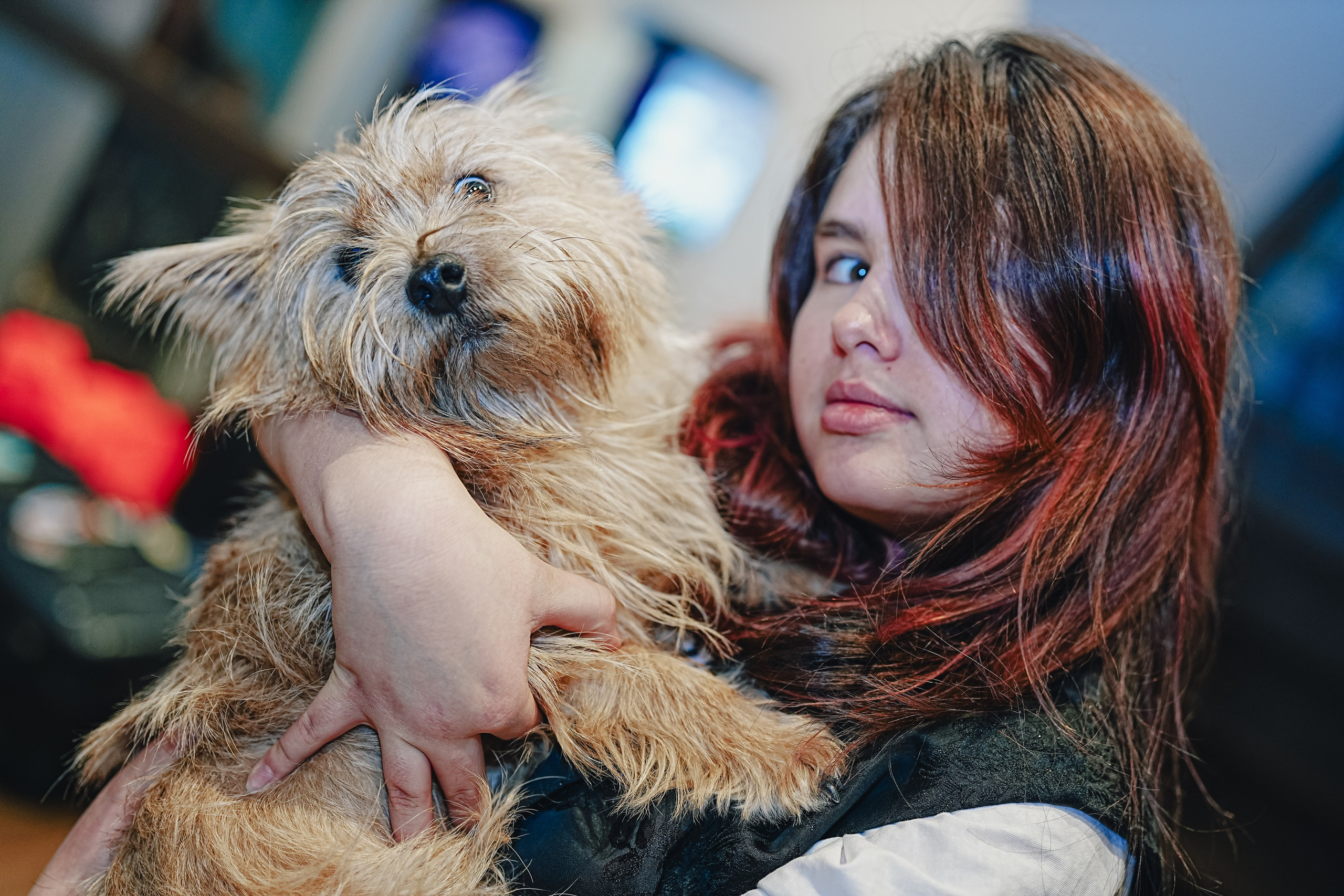 Евтушенко зима 2026. Семейный и детский фотограф в Москве (Тинао) Галкина Алевтина