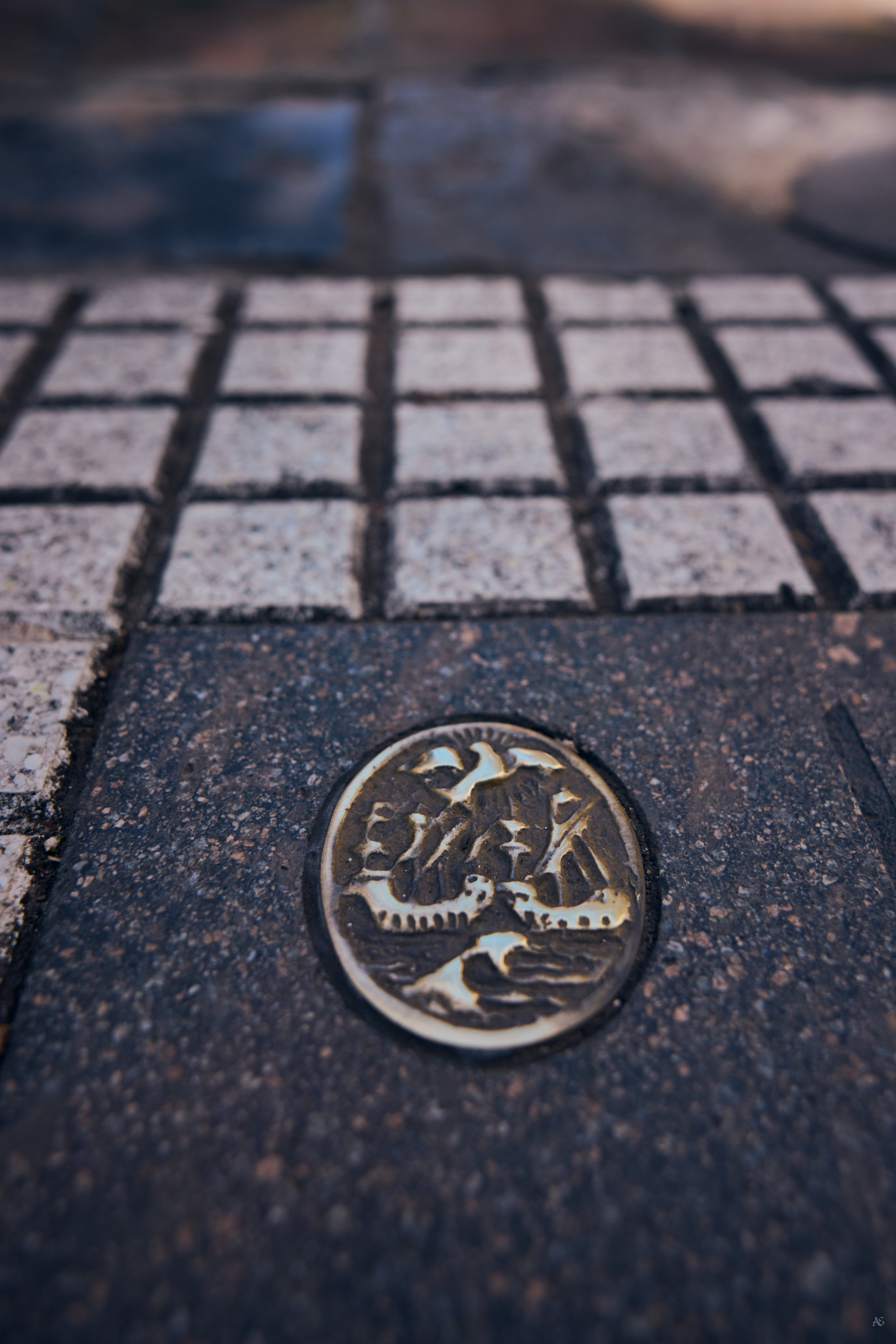 Буэнос-Айрес, Аргентина. Alexander Ermolenko