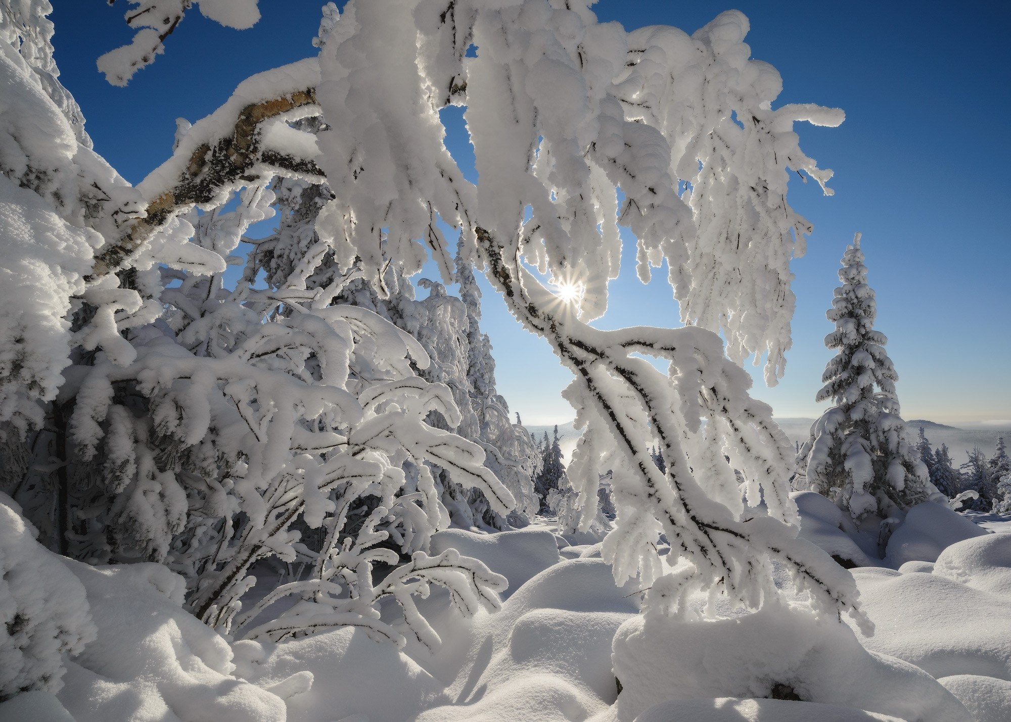 Зимний лес, небо ясное и лазурное — идеальный контраст для белоснежного пейзажа Урала.  