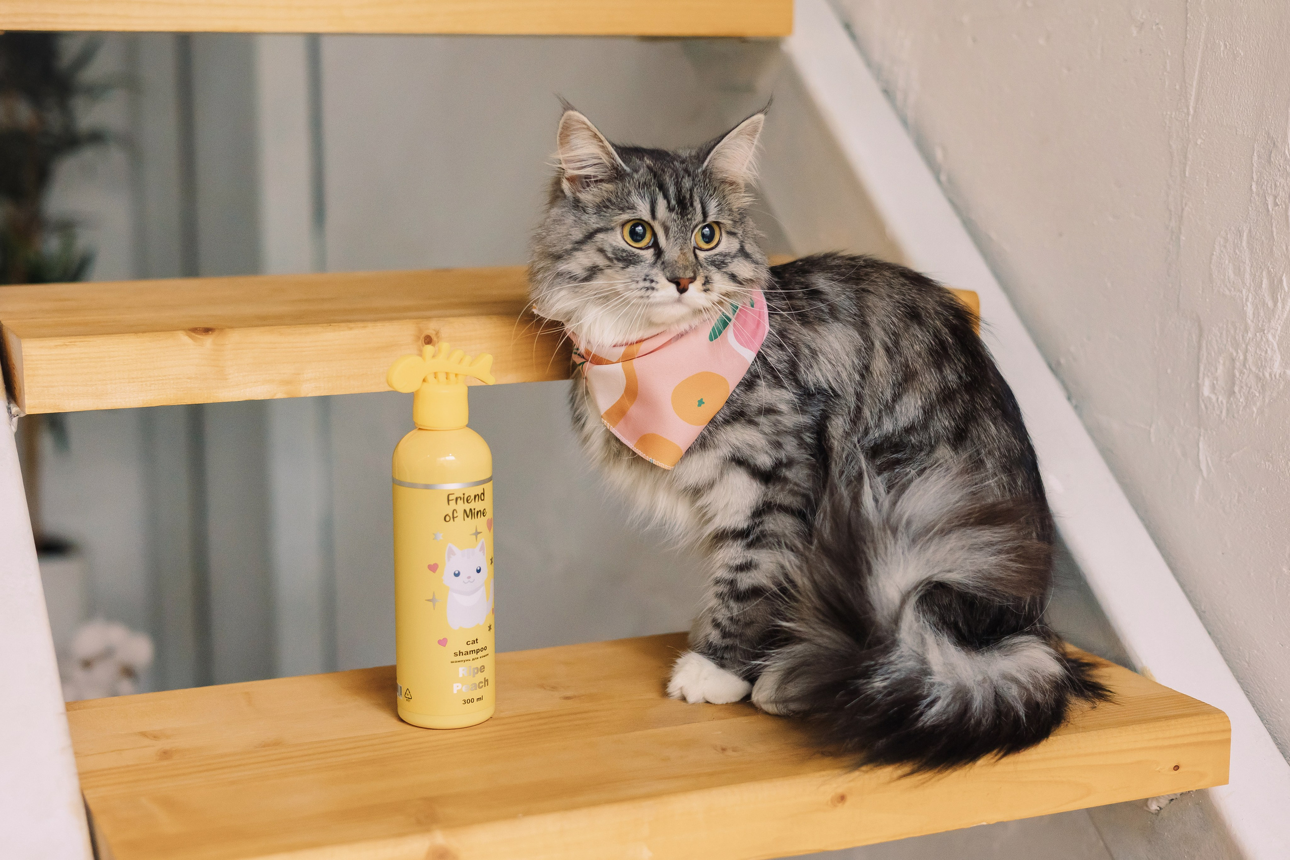 Магазин Friend of mine. Фотограф-анималист Елена Радченко, Москва