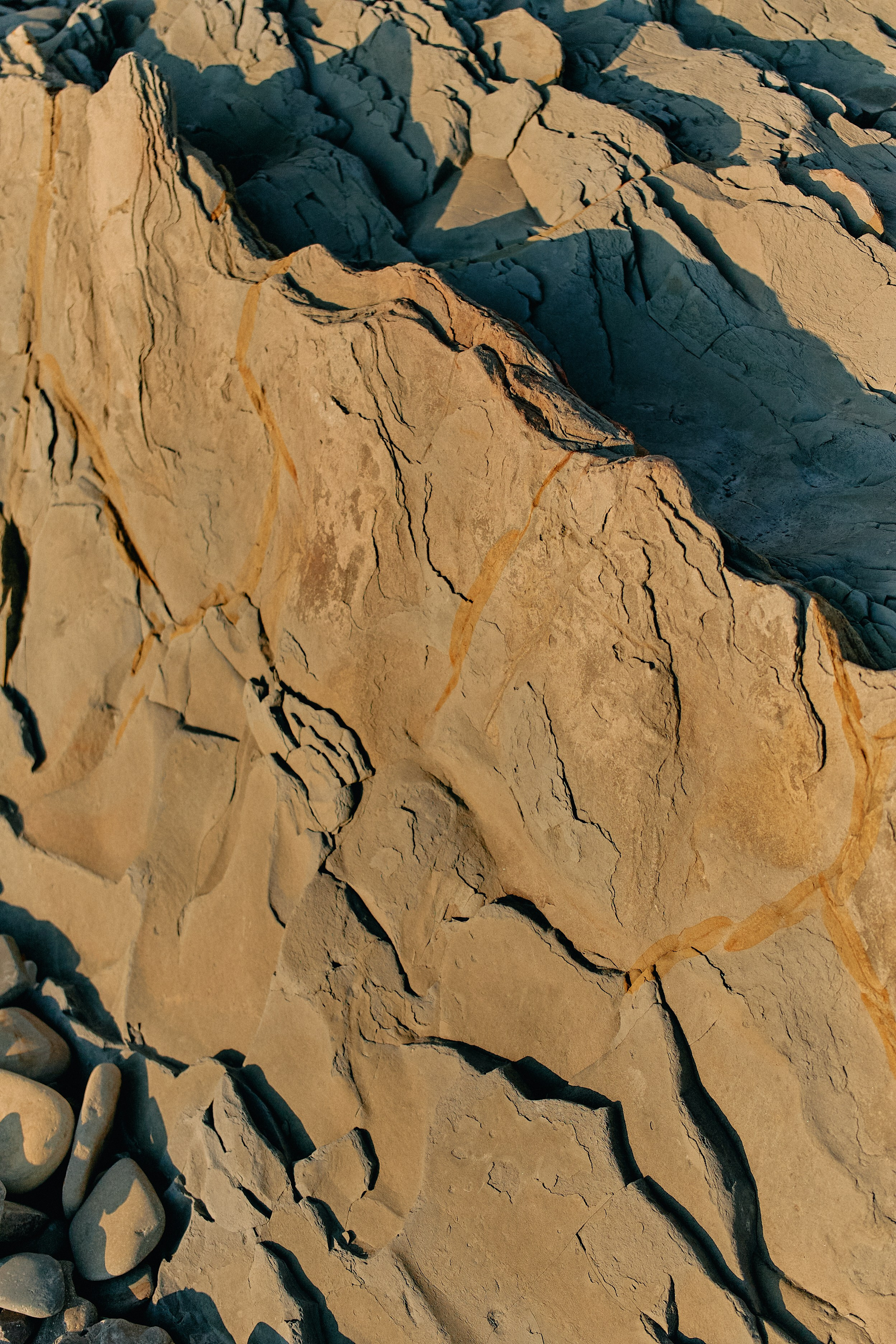 Юг России. Профессиональный Фотограф во Владимире, в Москве и в Суздале — Полина Романычева