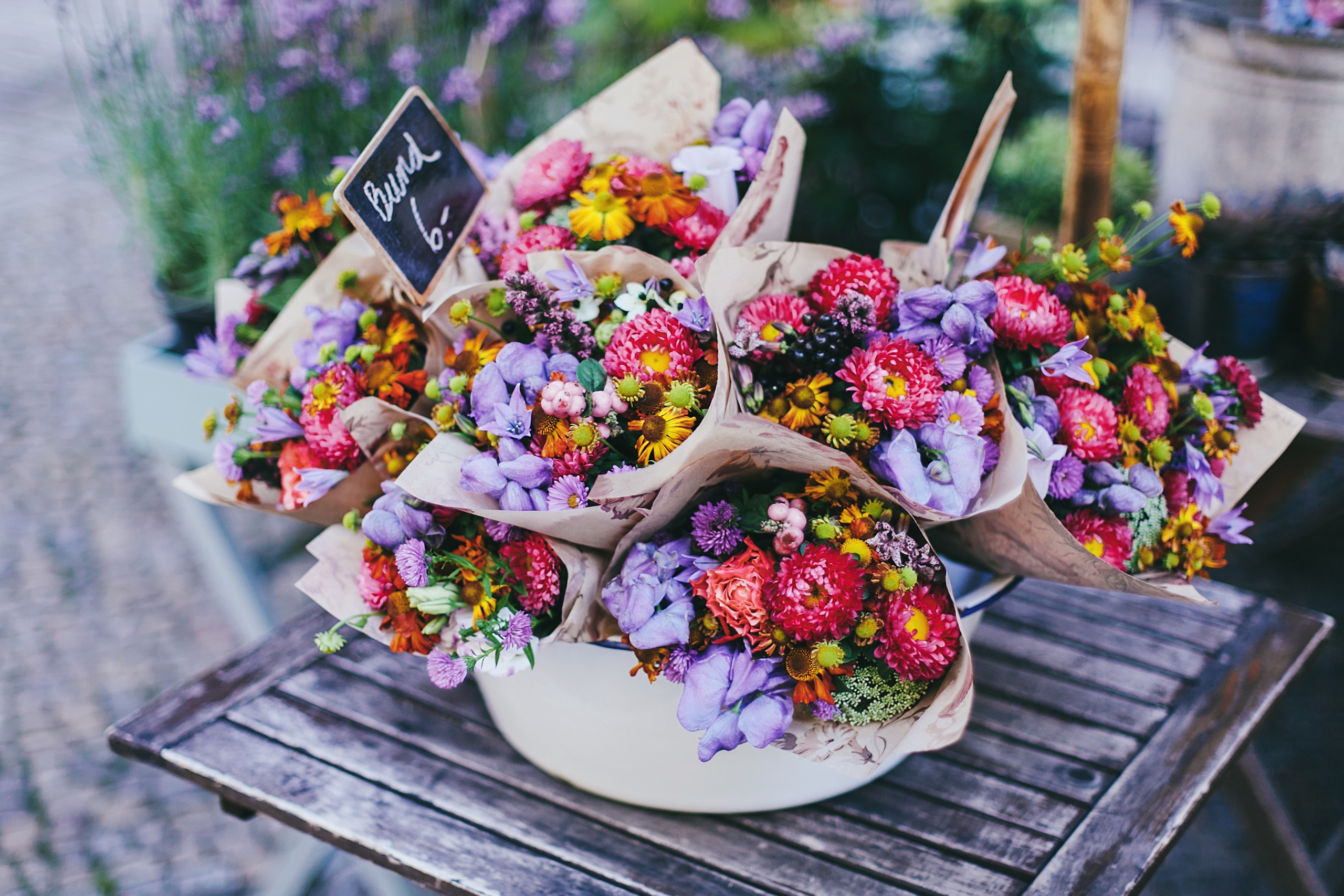 Берлин. Аня Степанова