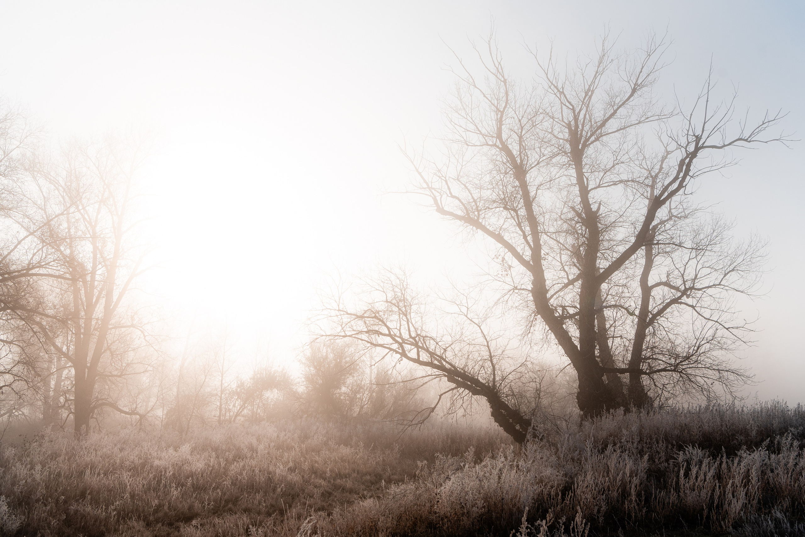 Фотографии утреннего тумана под Волжским. Фотограф в Волгограде и Волжском Александр Горбань