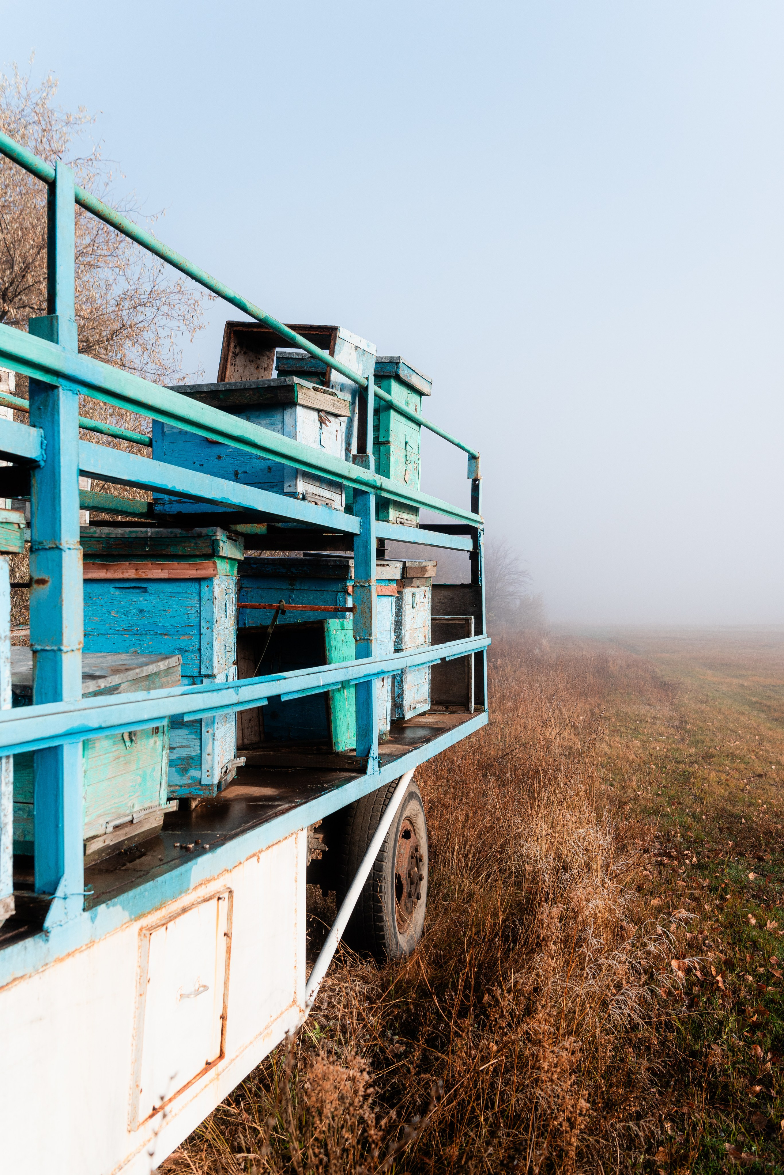 Фотографии утреннего тумана под Волжским. Фотограф в Волгограде и Волжском Александр Горбань