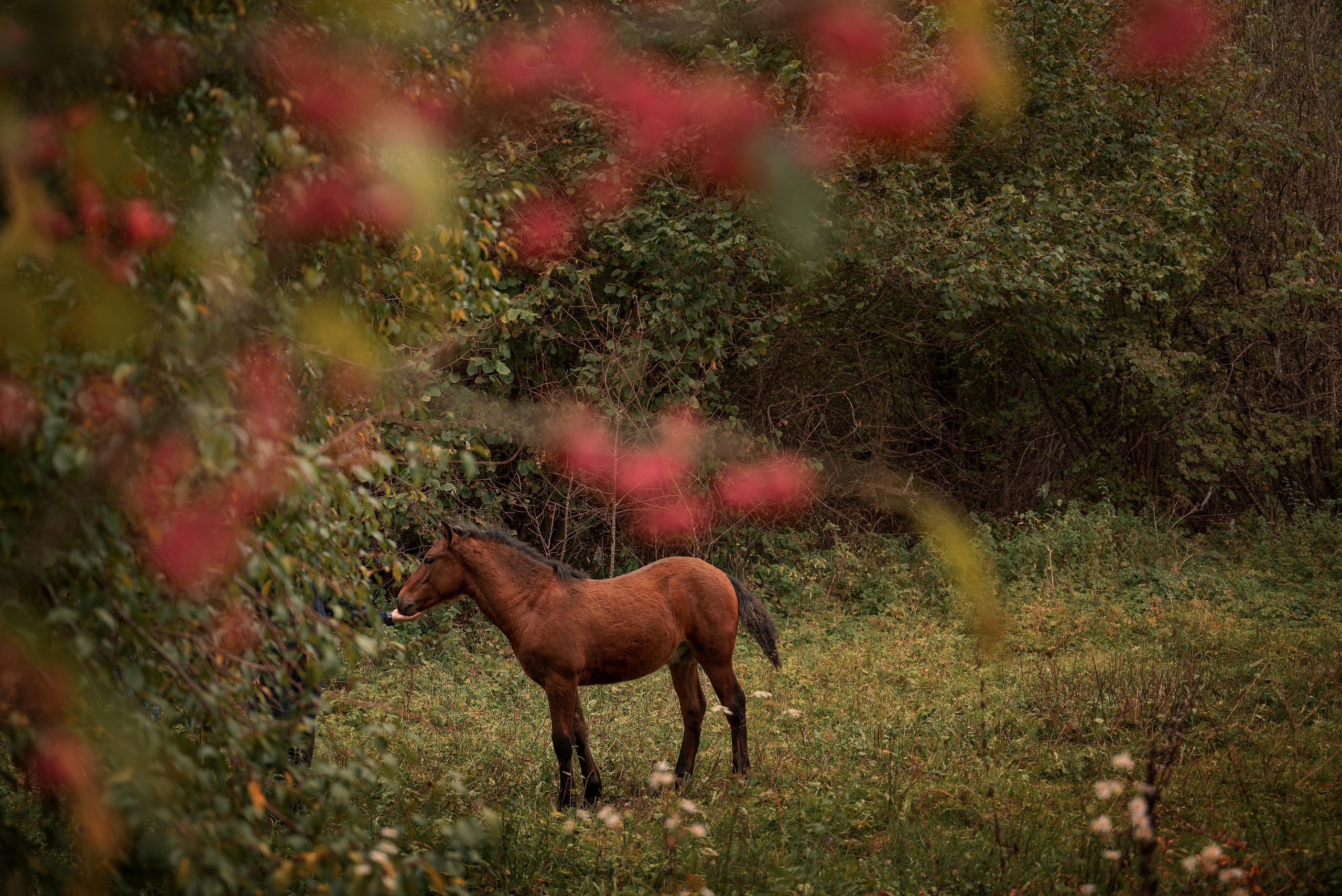 Места. Фотограф в Минске Дарья Кончакова