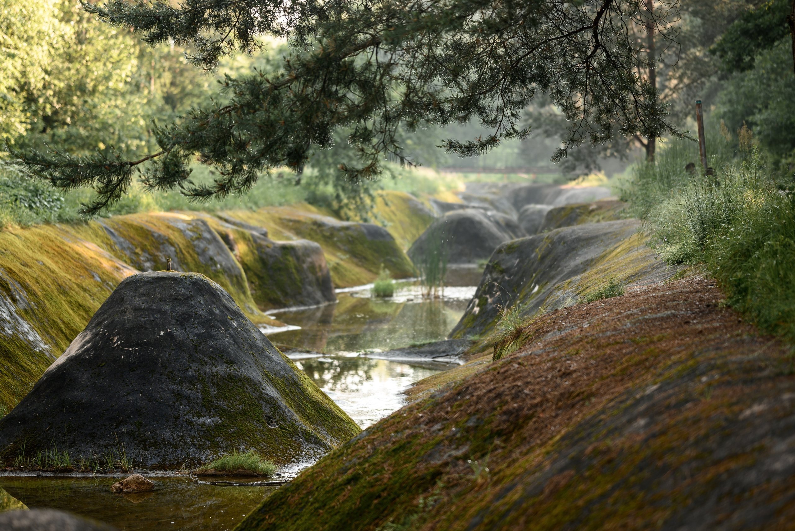 Места. Фотограф в Минске Дарья Кончакова