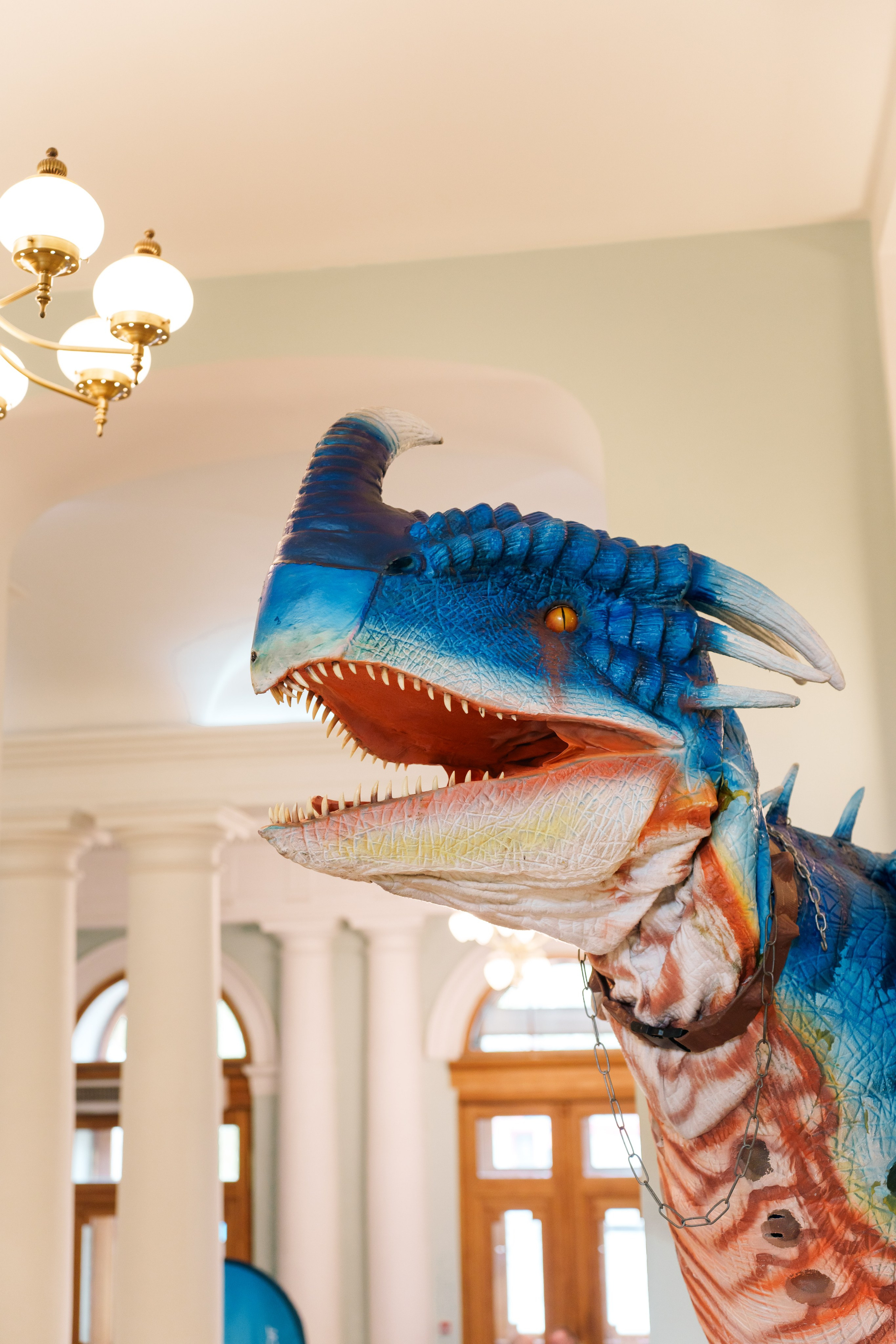 Первый чемпионат мира по геологии 2025. Фотограф в Санкт-Петербурге Ибрагимова Алина