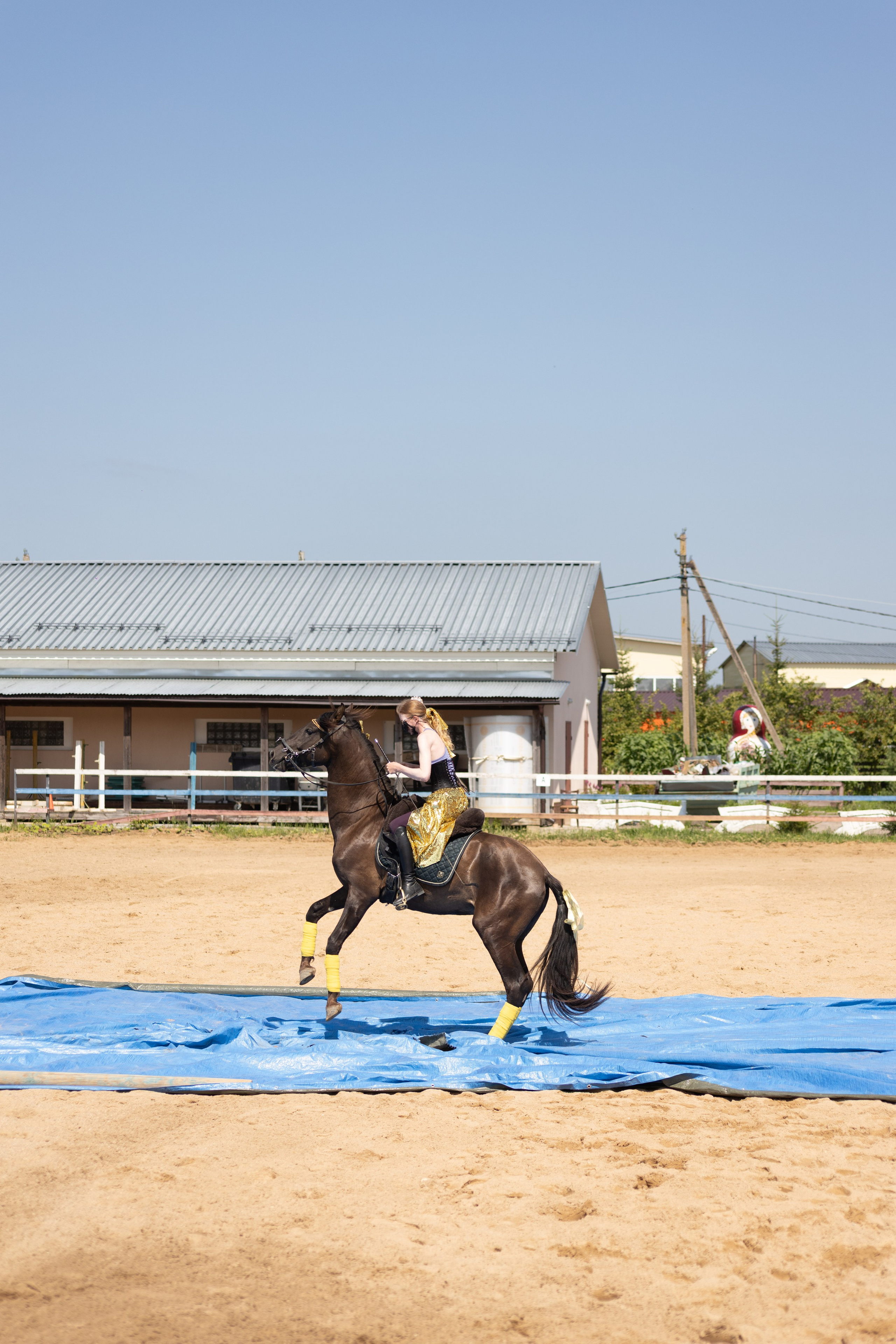 Конюшня. Фотограф в Москве и Истре