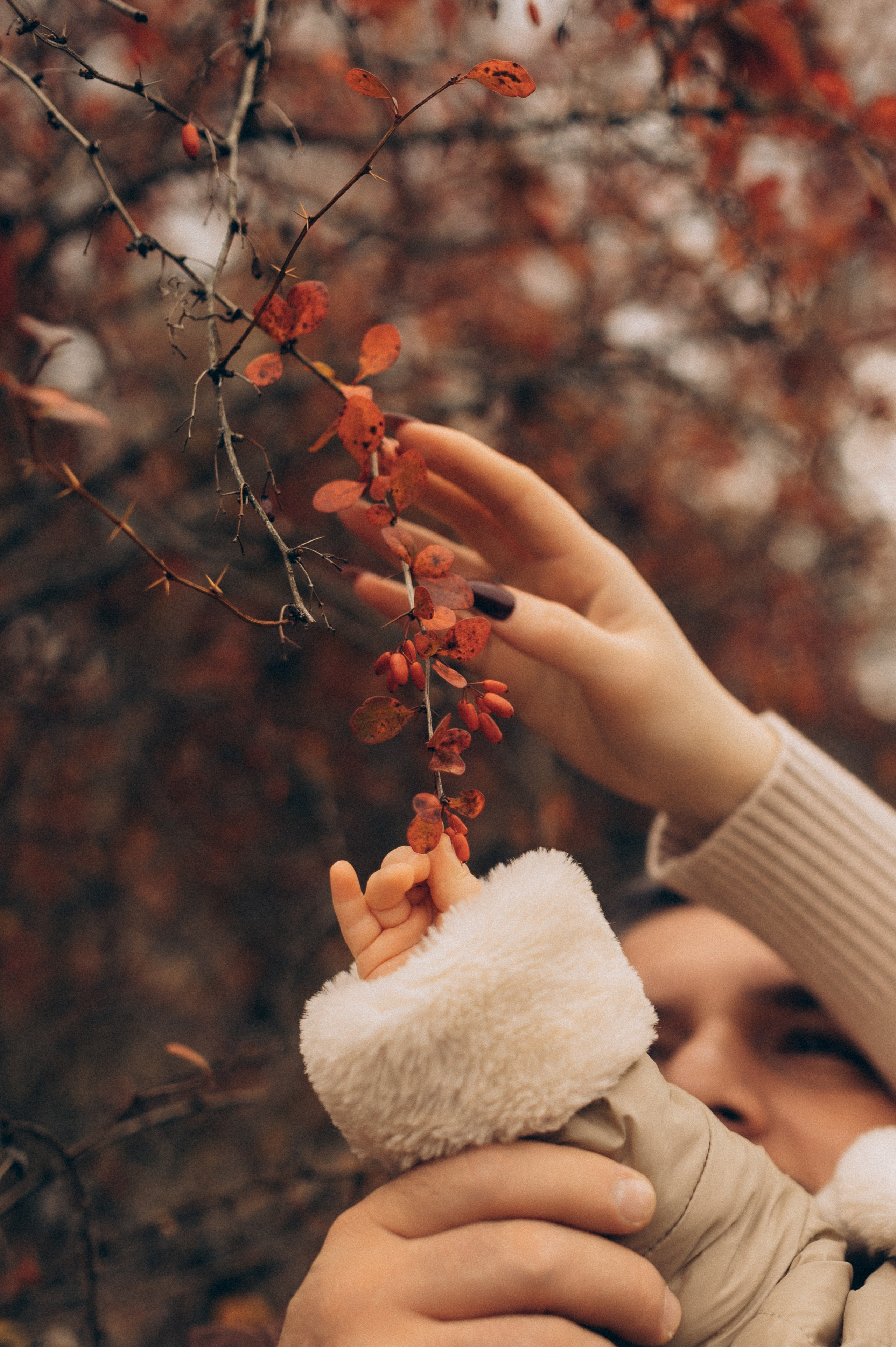 Осенняя семейная. Фотограф Алексин, Тула