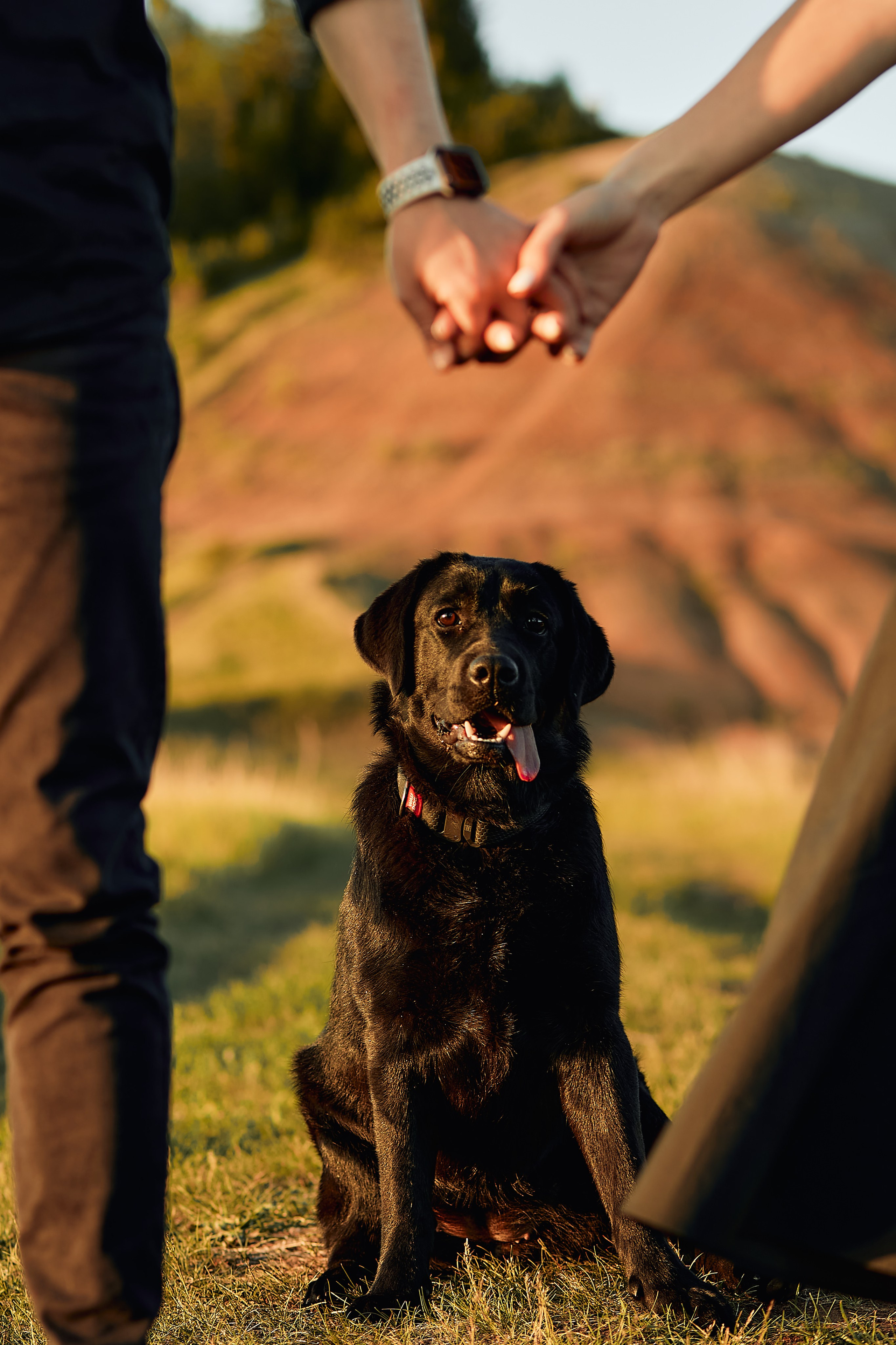 Артур, Лара, Егор и Алина. Свадебный фотограф Чайковский