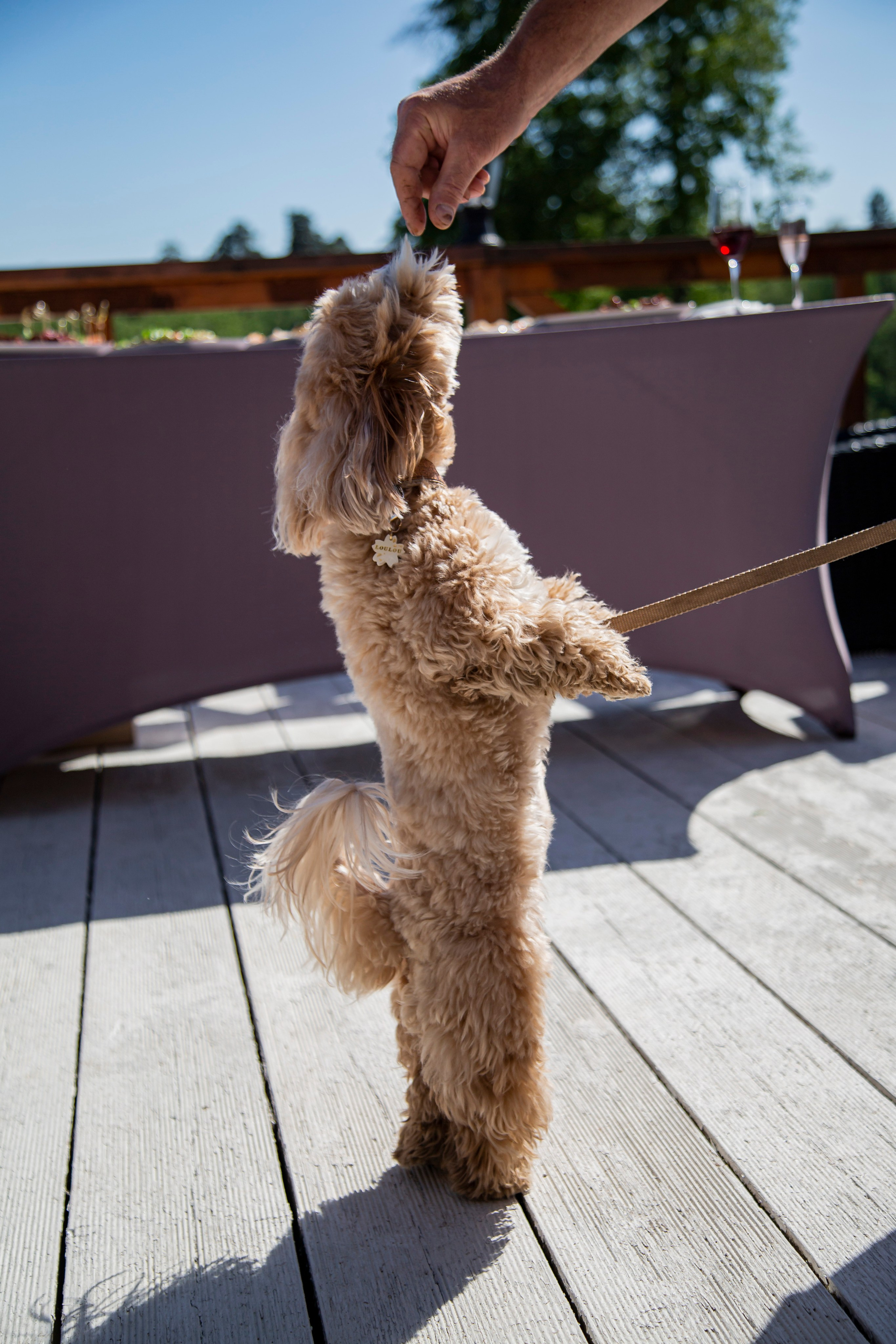 Юбилей. 𝓕𝓸𝓽𝓸𝓰𝓻𝓪𝓯 𝓑𝓪𝓵𝓪𝓼𝓱𝓲𝓱𝓪 / 𝓜𝓸𝓼𝓴𝓿𝓪