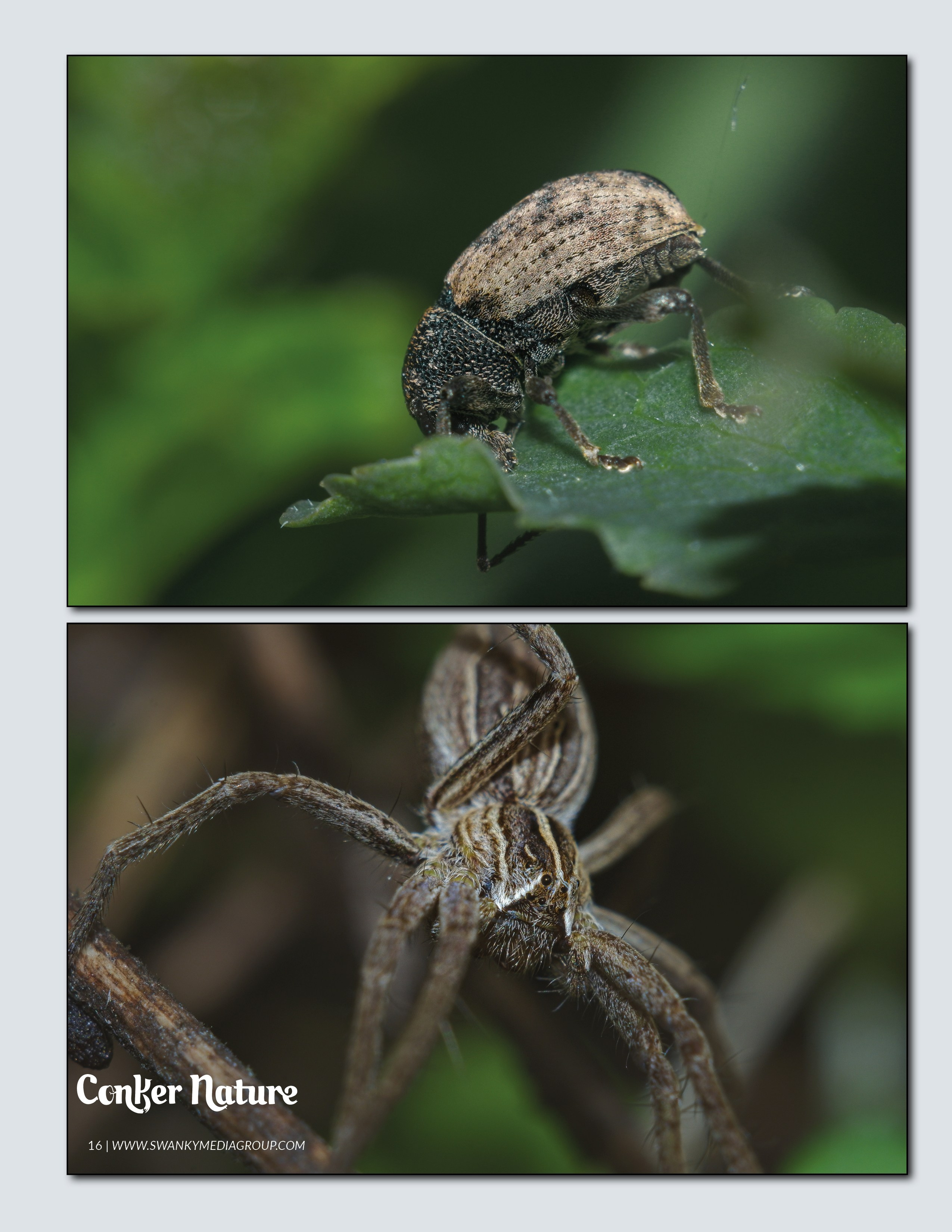 My publications in printed publications, magazines. Фотограф (photographer) Lischinski Vitaliy