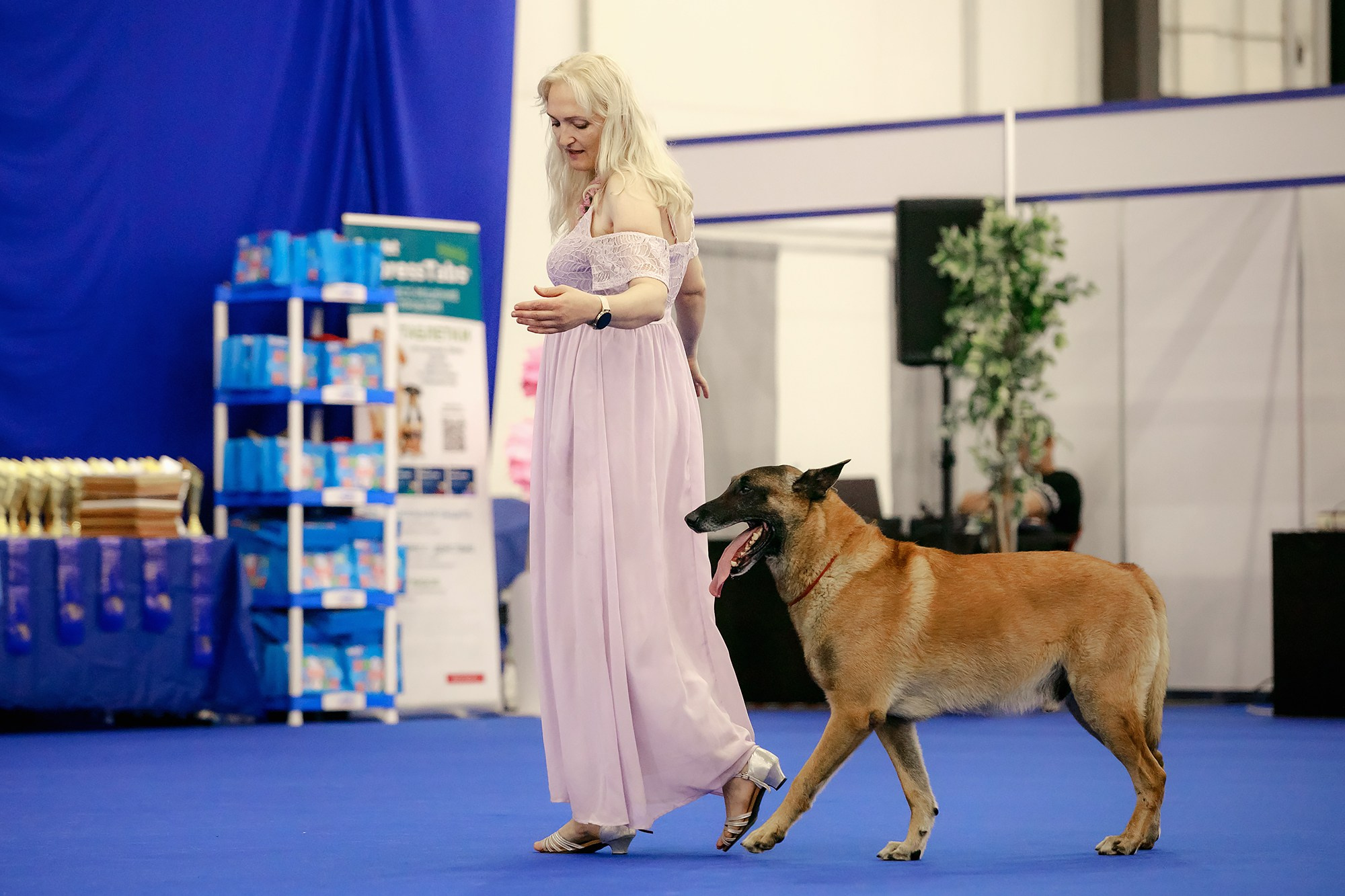 Танцы на выставке «Зоошоу», СПб. Фотограф-анималист Mary Mart — Москва, Питер