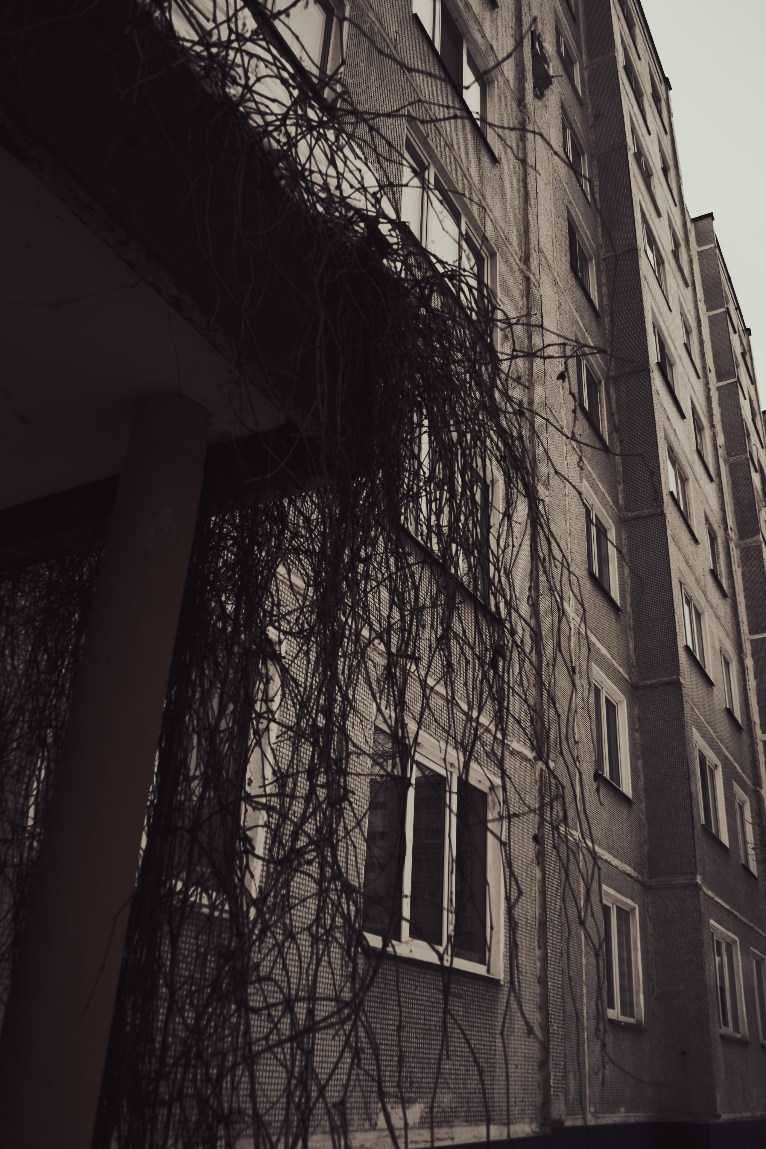 Стрит — фотография в Санкт-Петербурге. Портретный фотограф в Санкт-Петербурге Дори Милиева