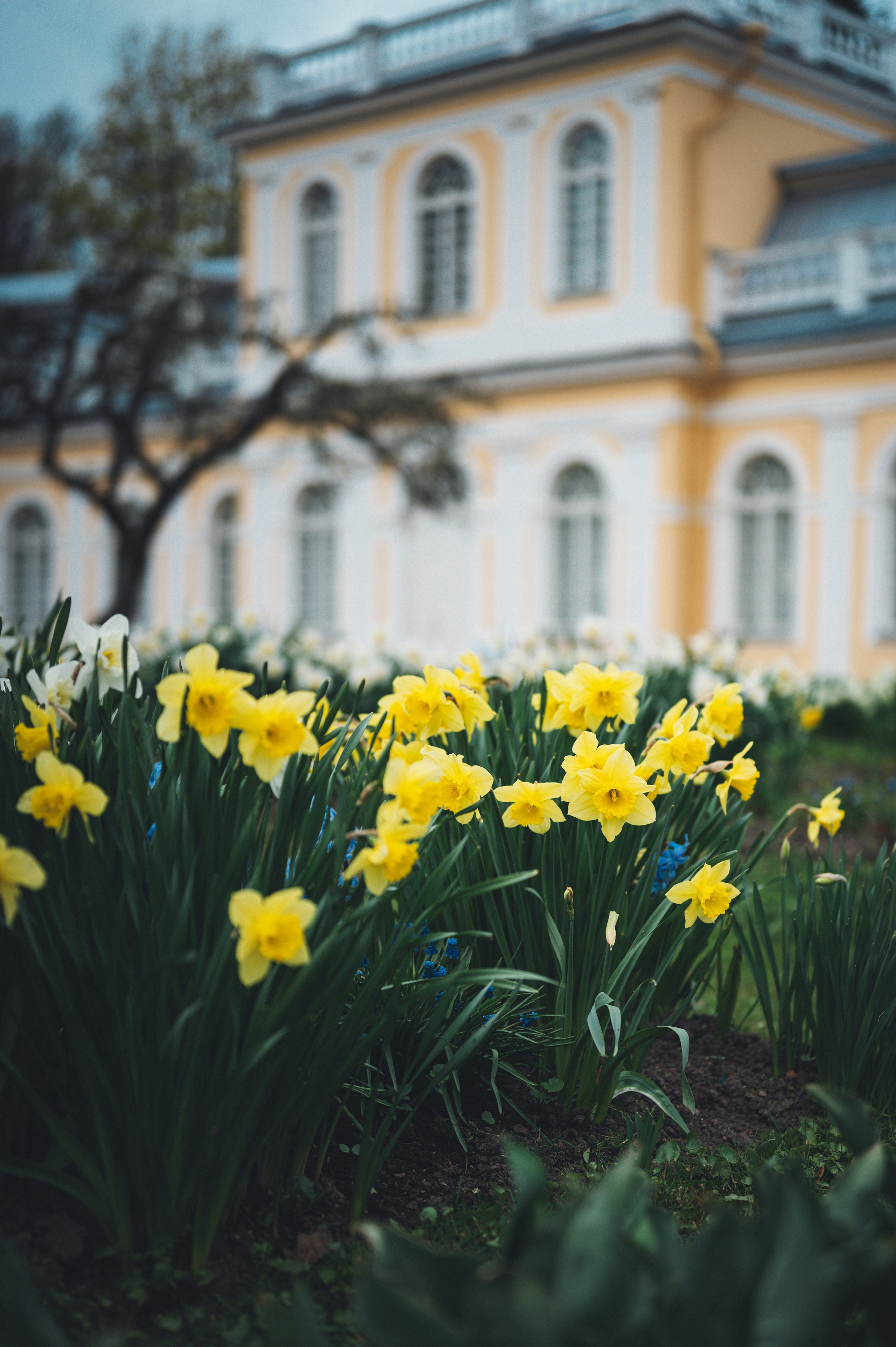 Мир вокруг. Фотограф Анна Темнова. Пенза