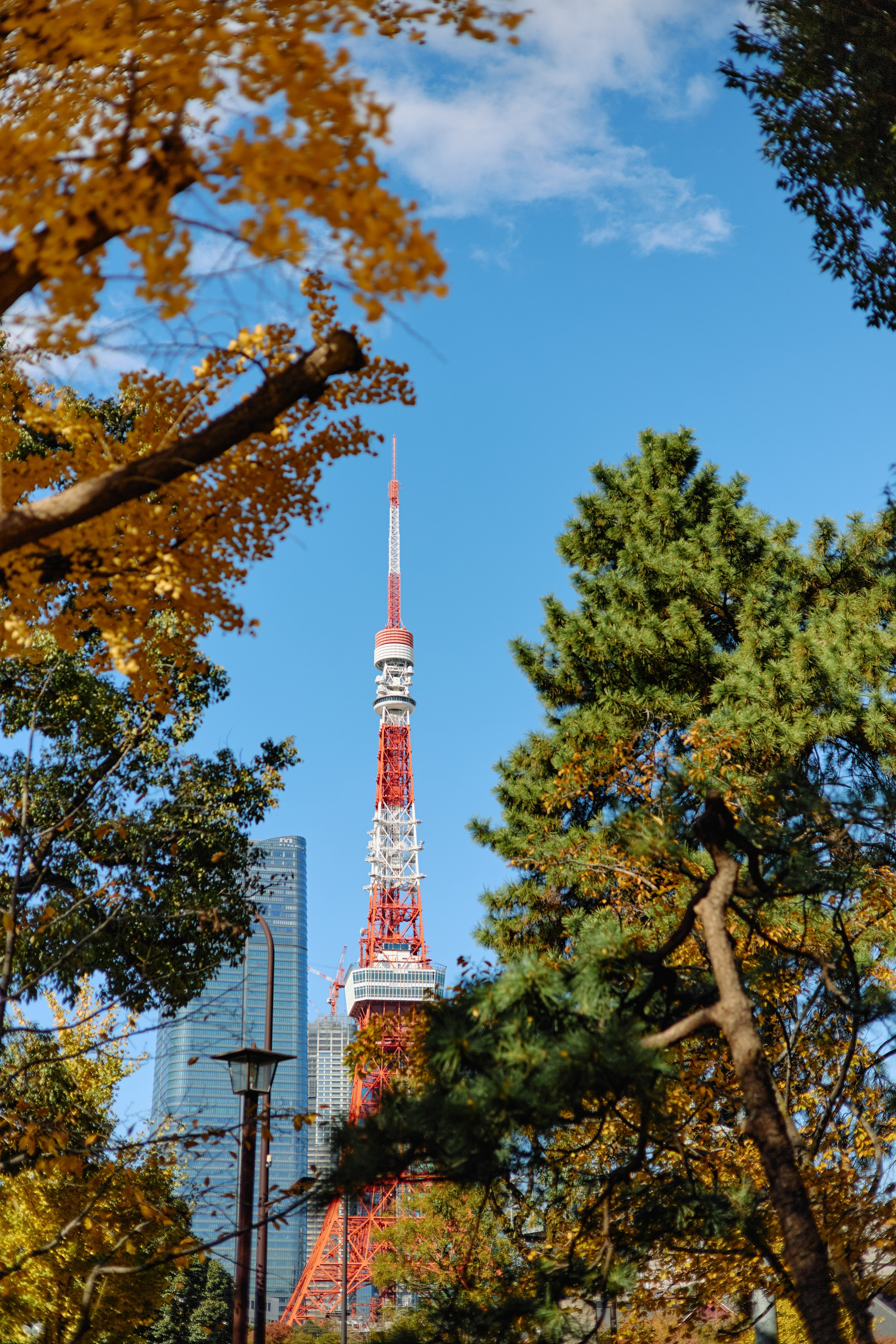 Япония. Профессиональный Фотограф во Владимире, в Москве и в Суздале — Полина Романычева
