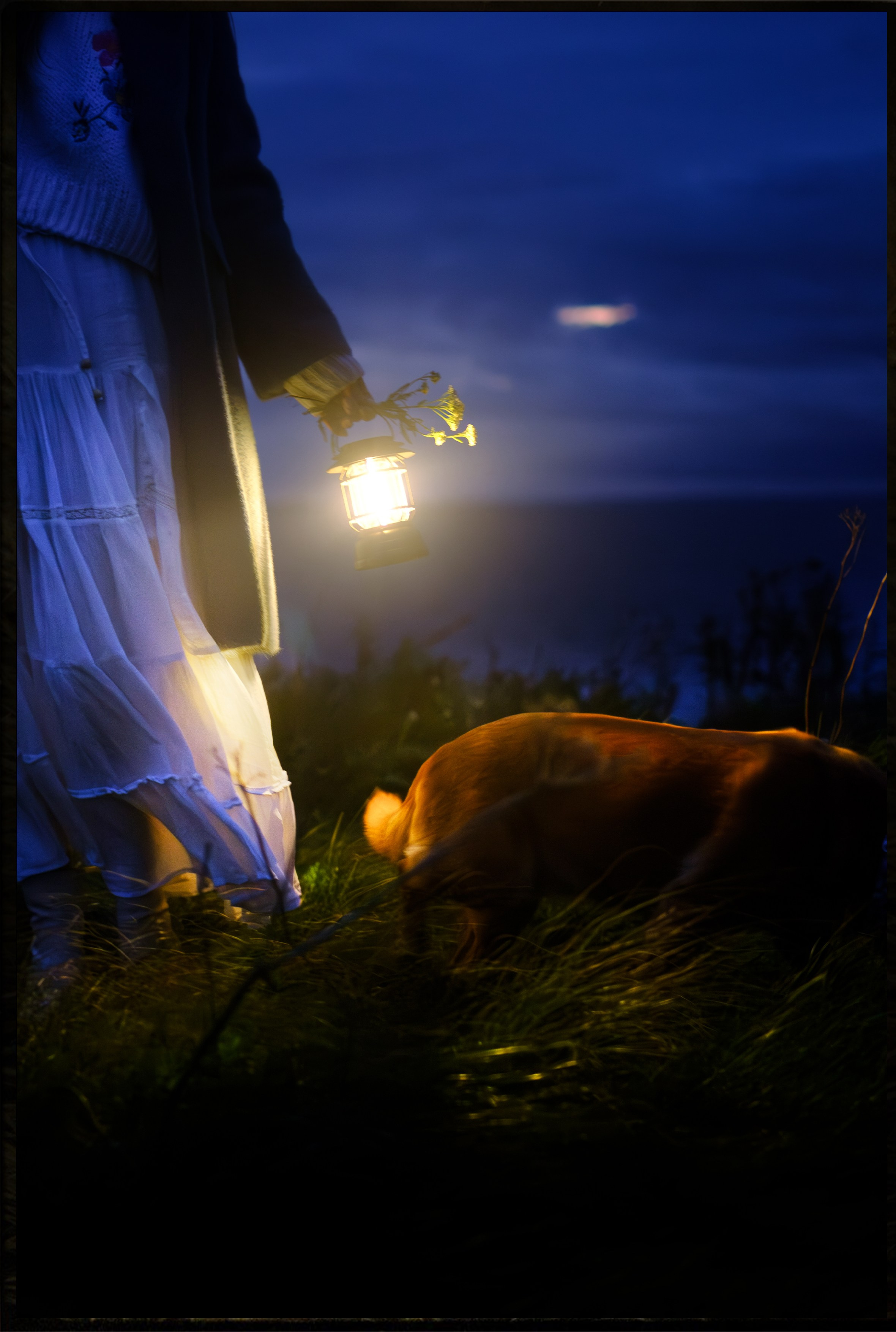 ФОТО. Фотохудожник и видеограф в Петербурге Валерия Кондаурова