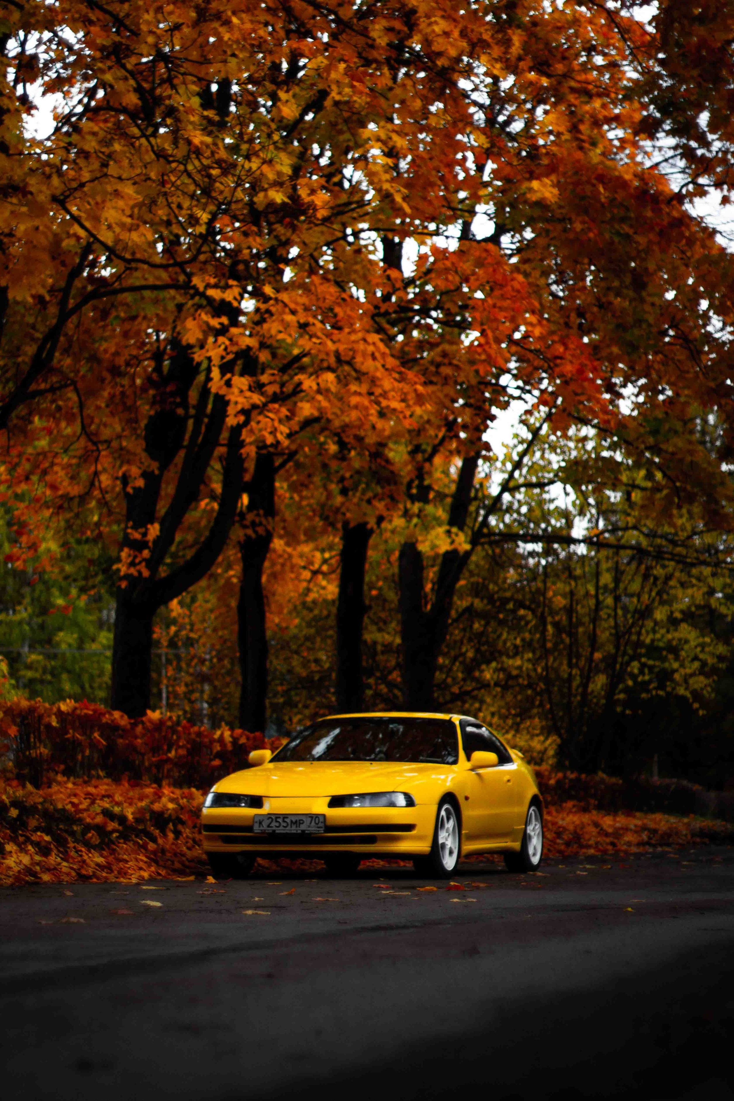 Осеннее настроение. Александр Попов