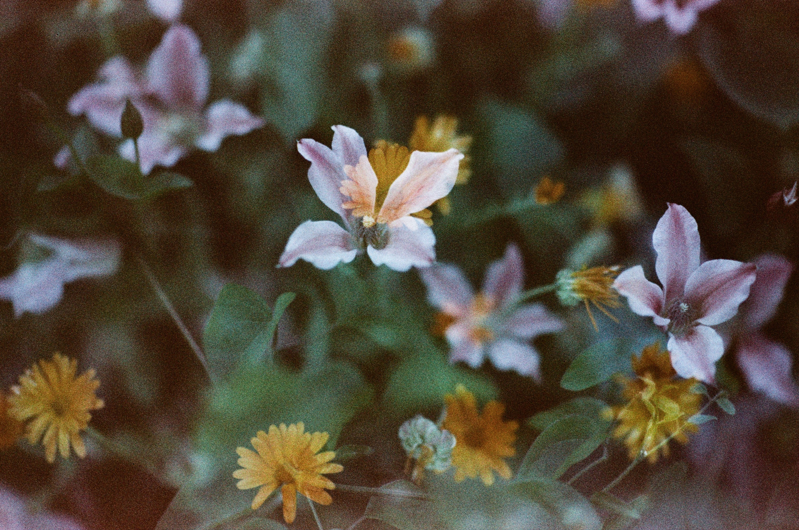 Pain shopping // ukraine, crimea. EVER EXPOSED