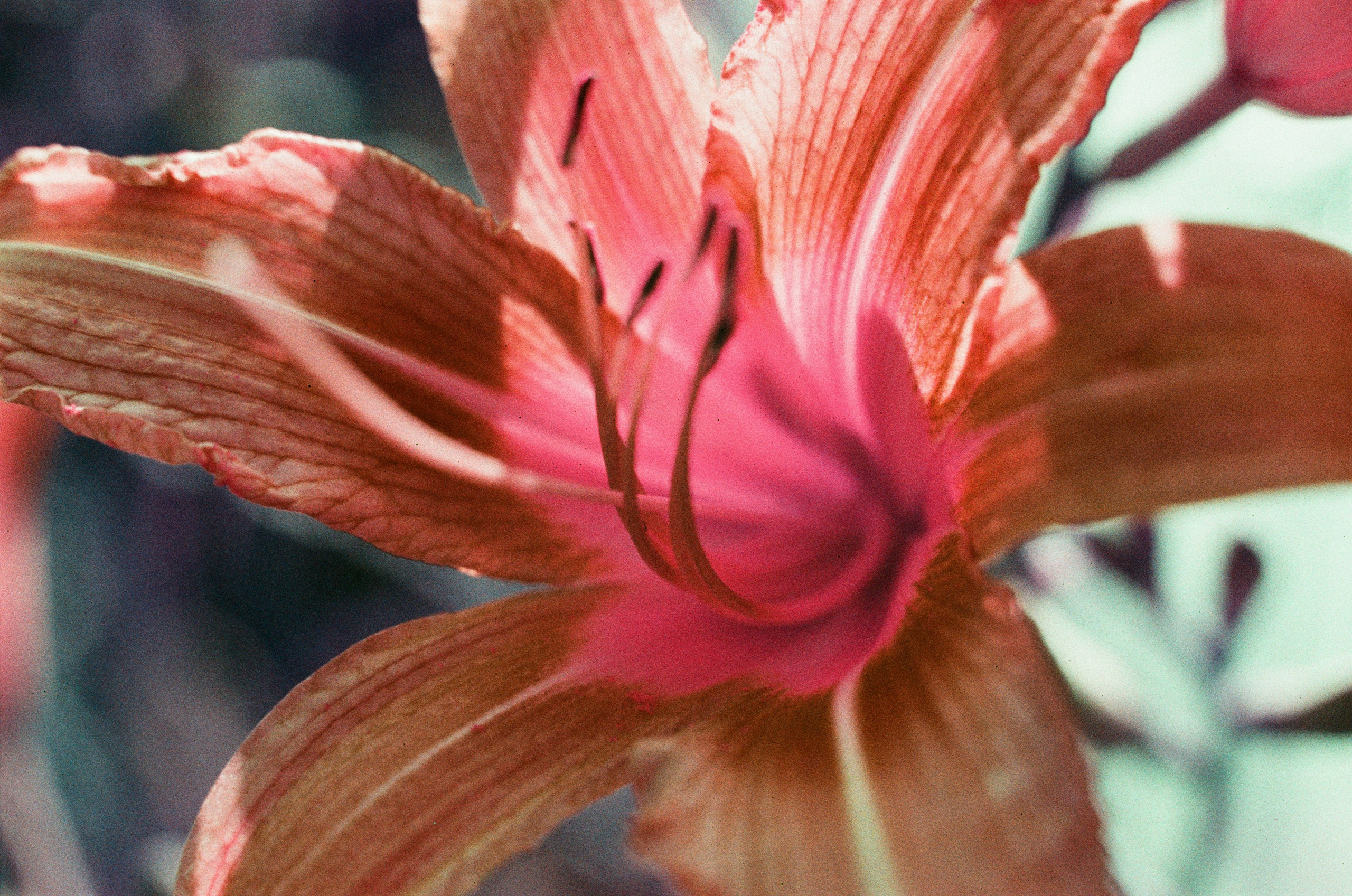 Point of no reply // ukraine, crimea IV. EVER EXPOSED