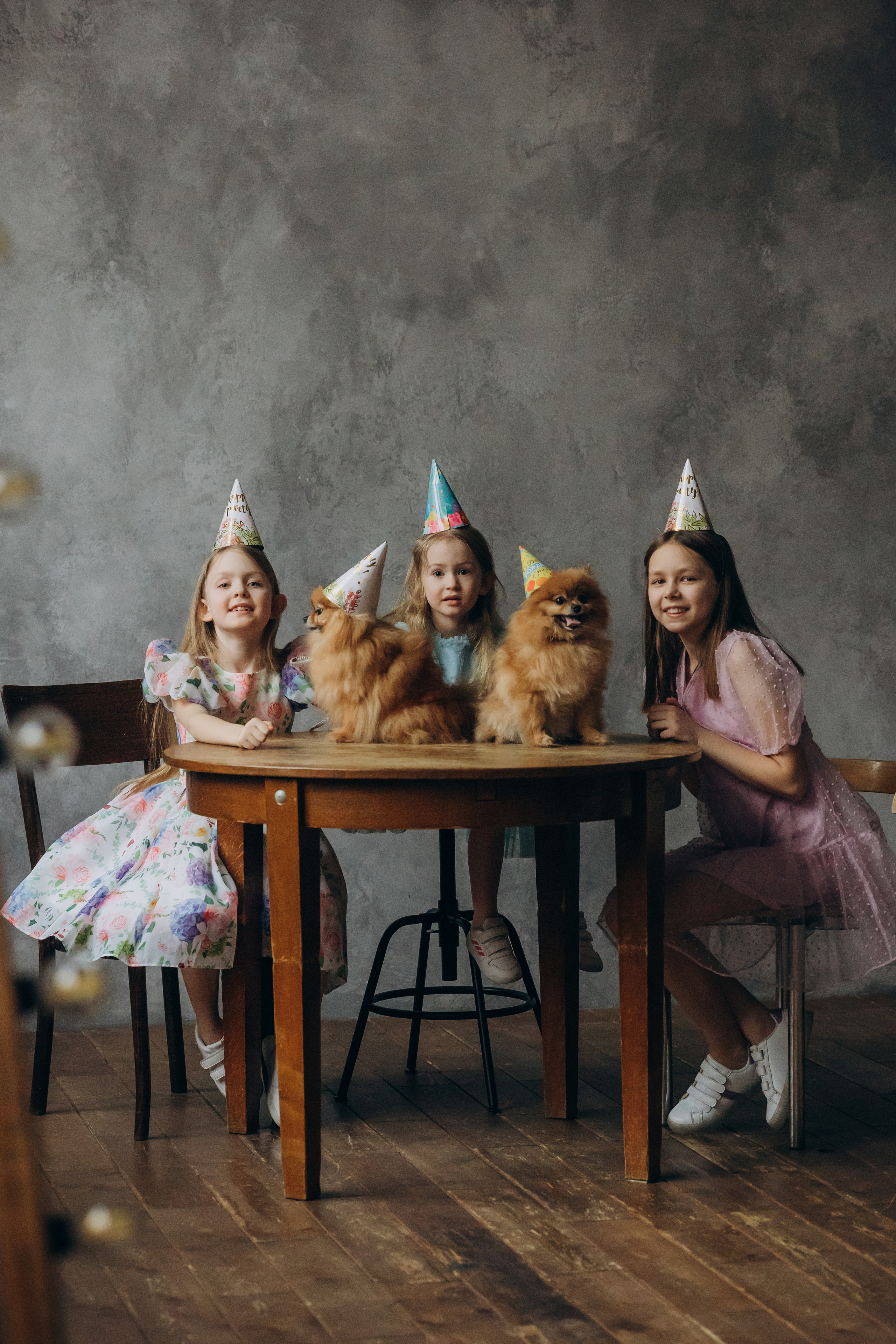 Питомцы. Фотограф на роды в Санкт-Петербурге Екатерина Сысоева