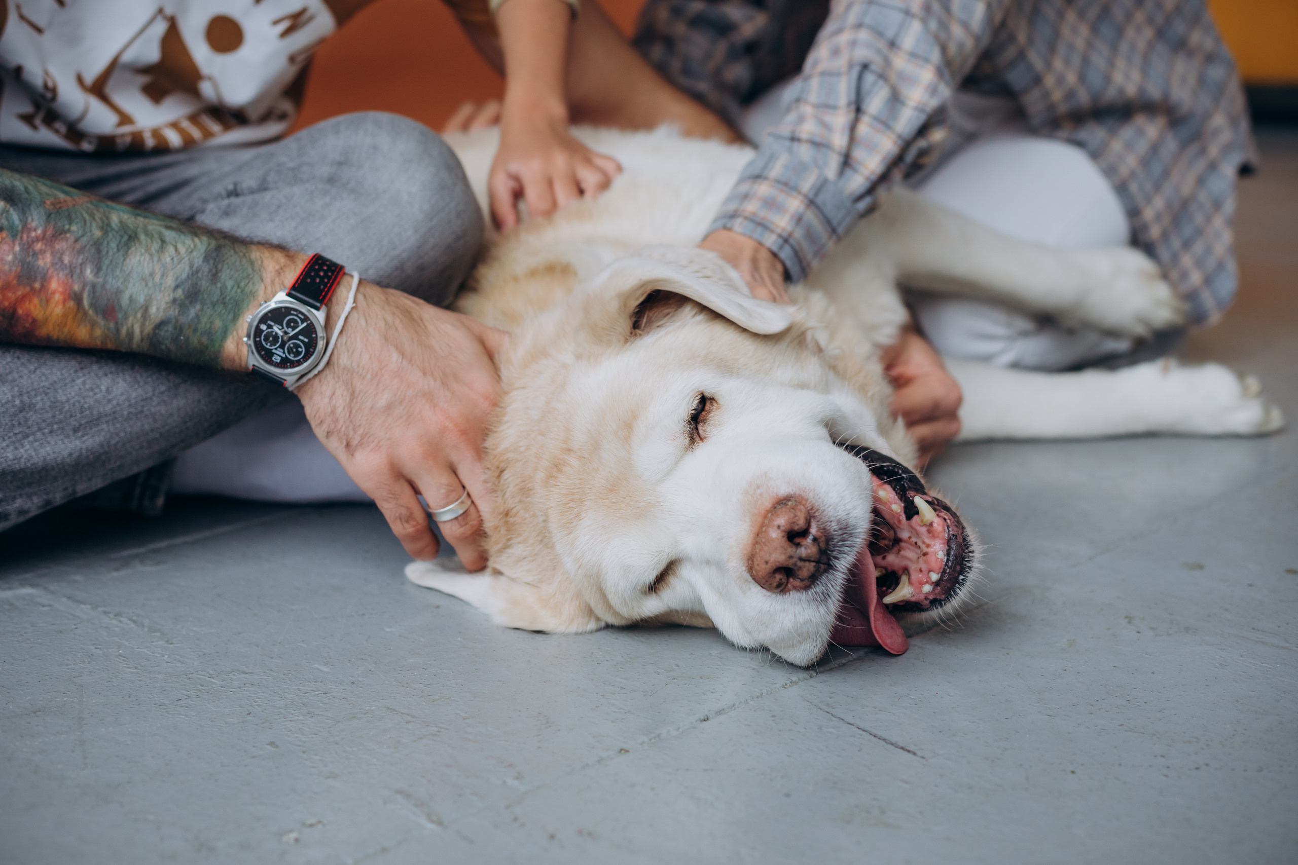 Колумб. Фотограф на роды в Санкт-Петербурге Екатерина Сысоева