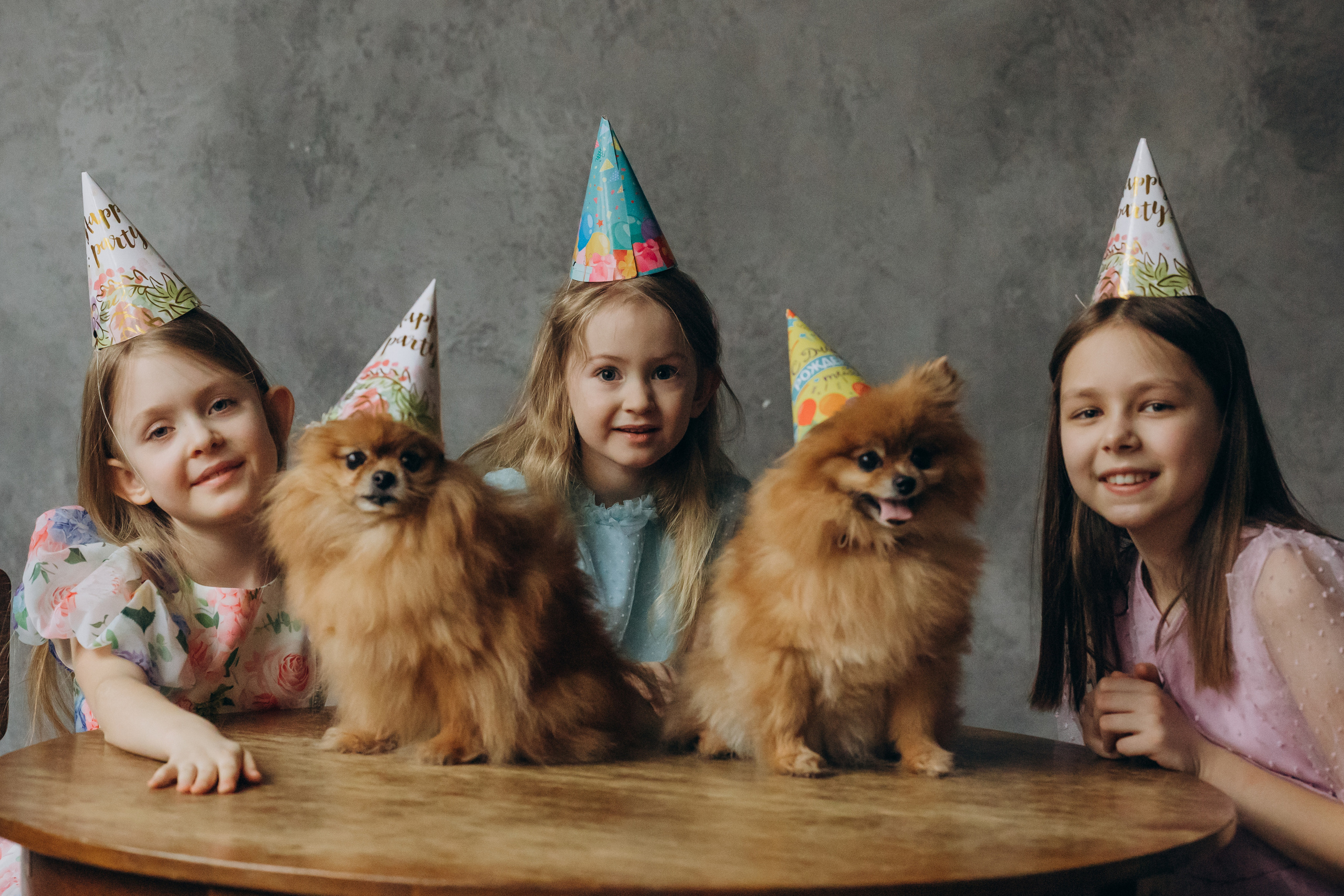 Питомцы. Фотограф на роды в Санкт-Петербурге Екатерина Сысоева