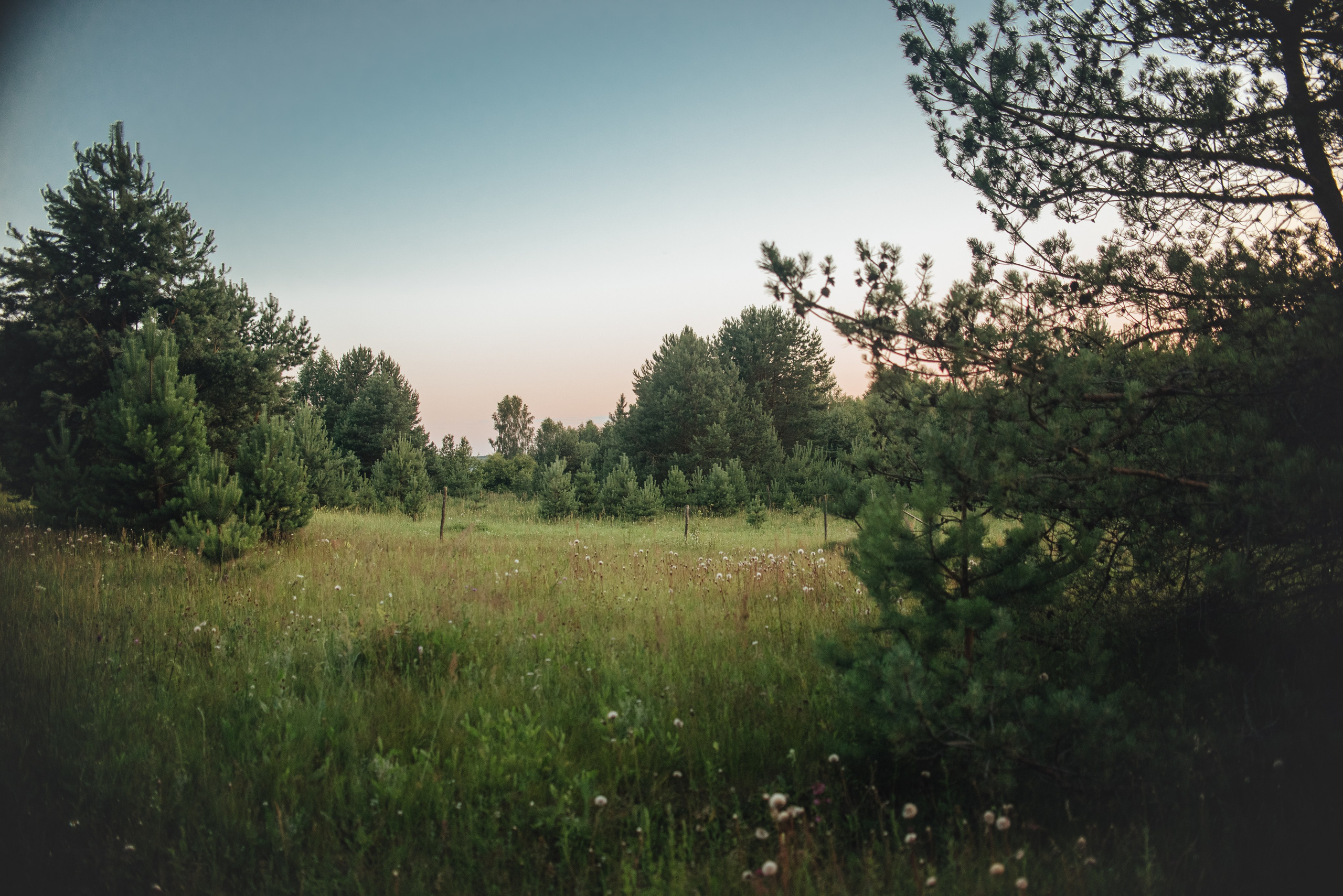 Ксюша и Майя — 05.07.2025. Фотограф — Анималист | Анна Абрамова