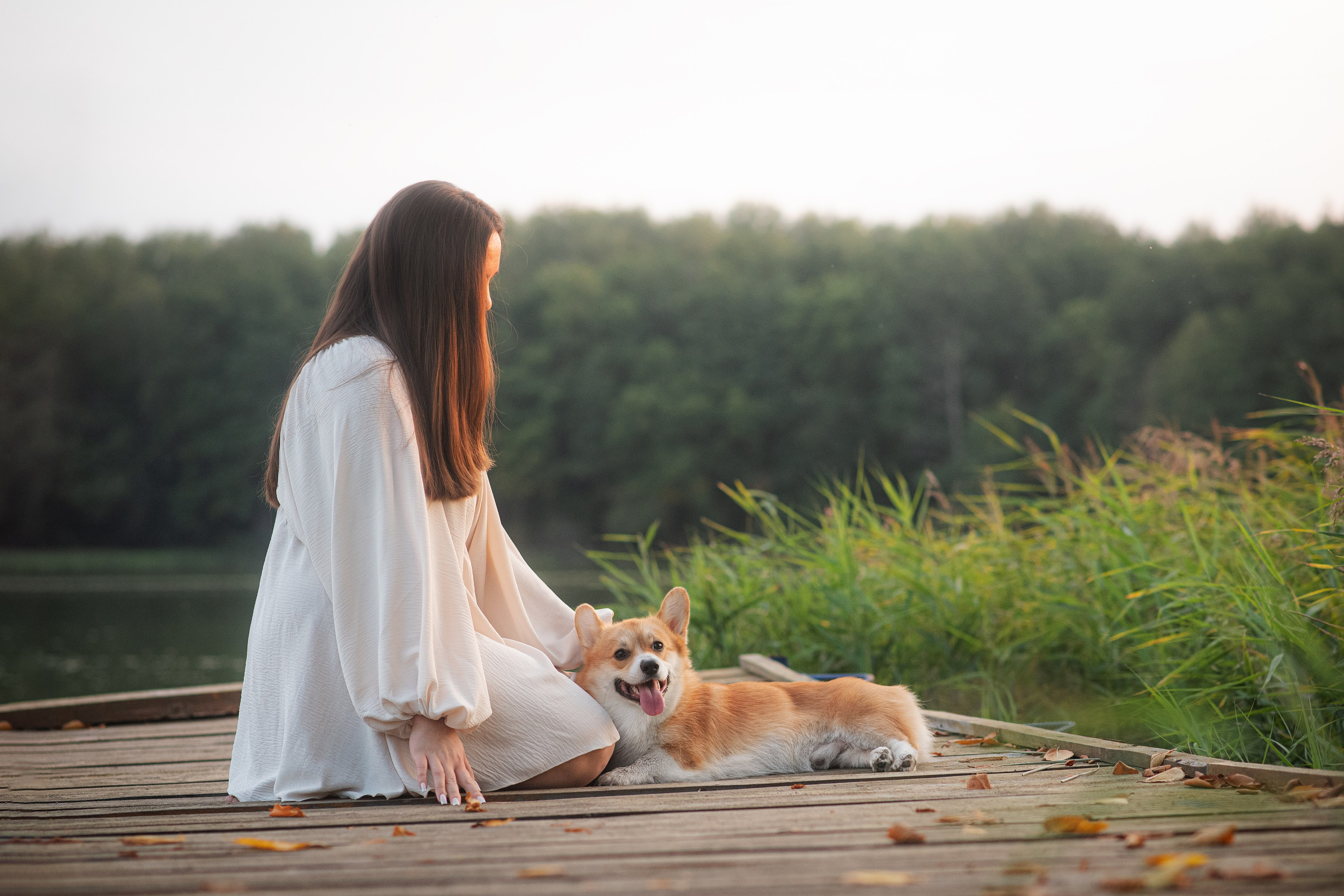 Саша, Оксана и Барни — 25.08.2024. Фотограф — Анималист | Анна Абрамова