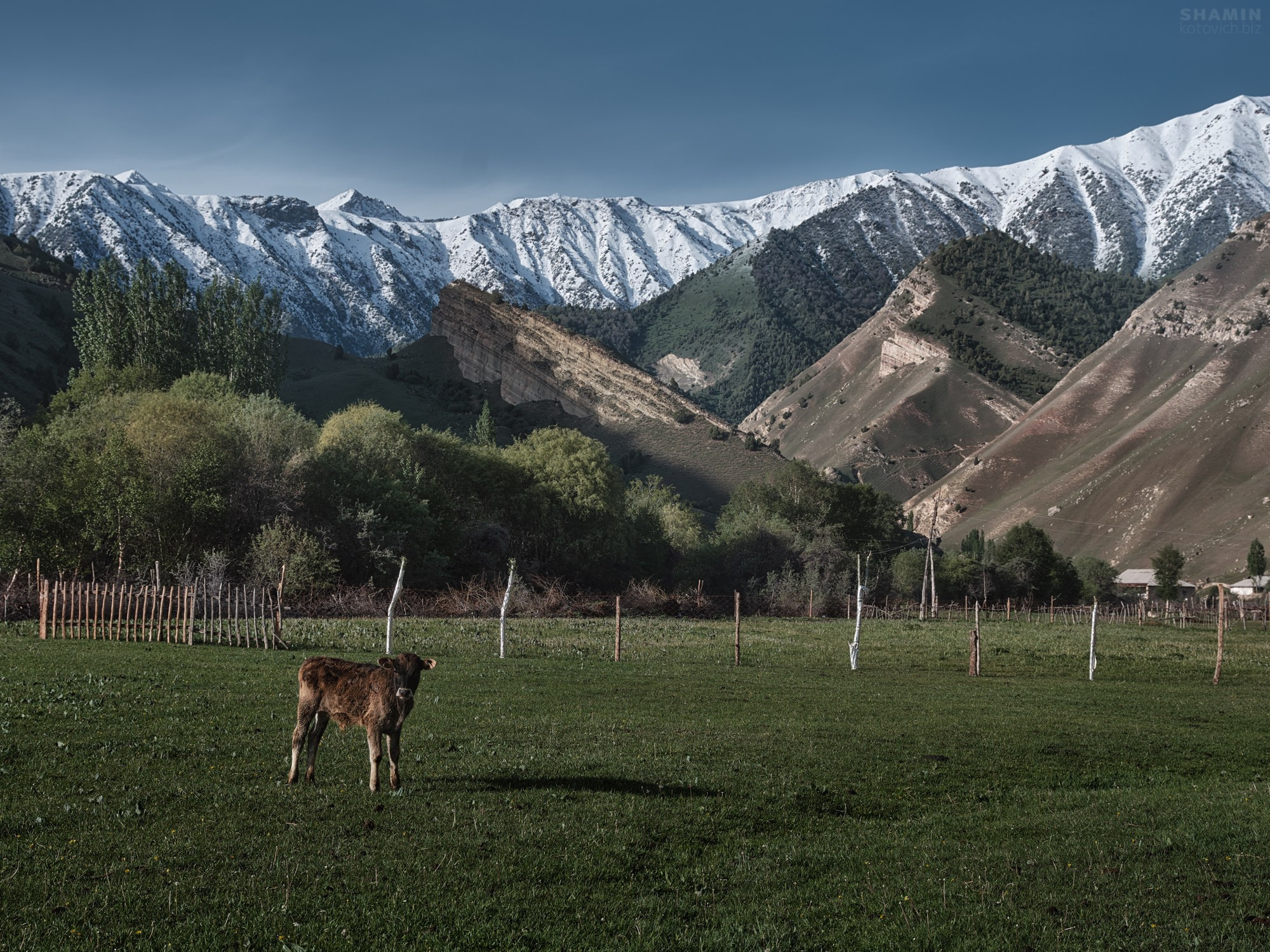 Кыргызстан — горные пейзажи, озёра и свет Тянь-Шаня | Фотограф Константин Шамин. Фотограф Константин Шамин