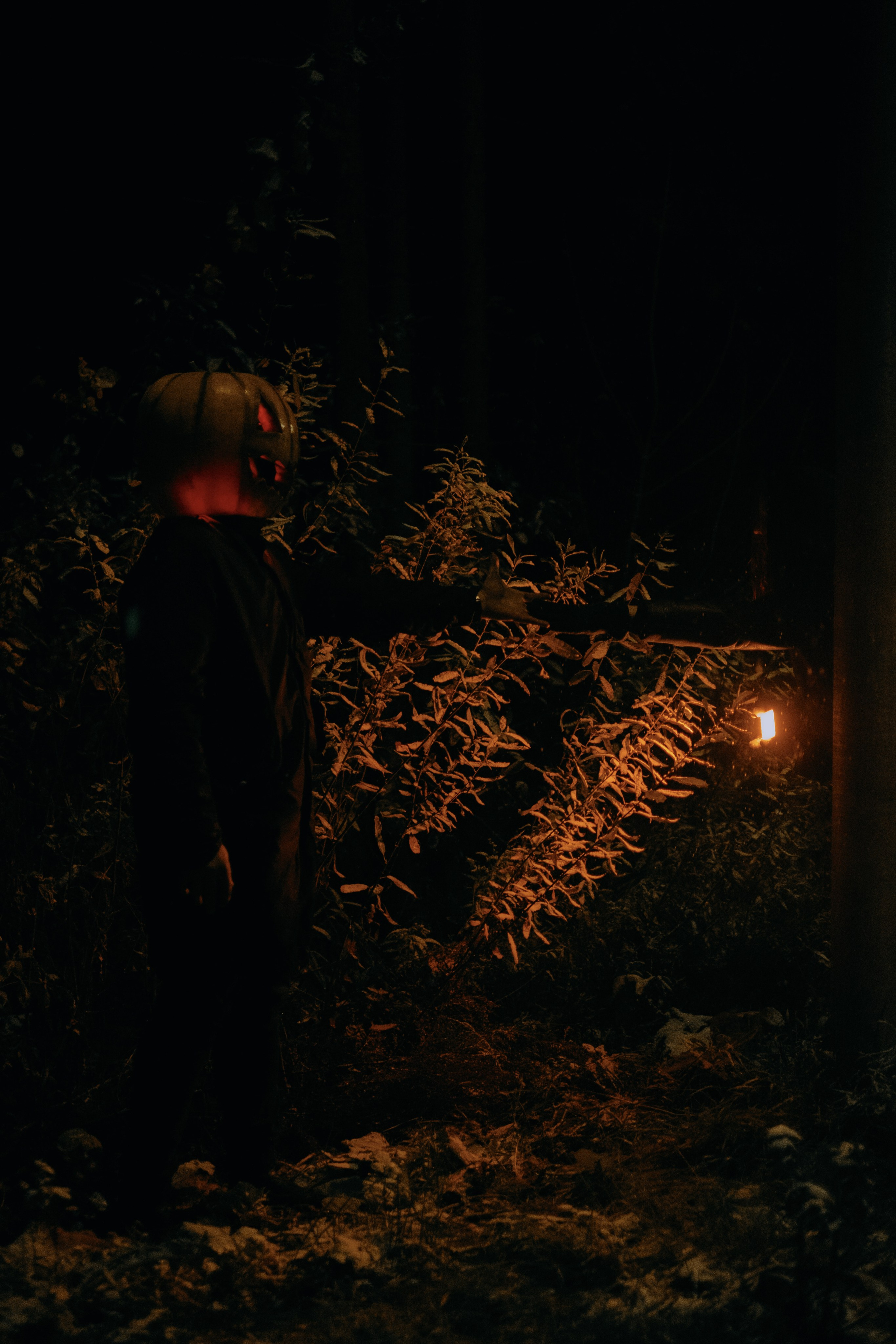 «Избранник тыквенной грядки». Фотограф (Москва, Мытищи)— Комова Анастасия