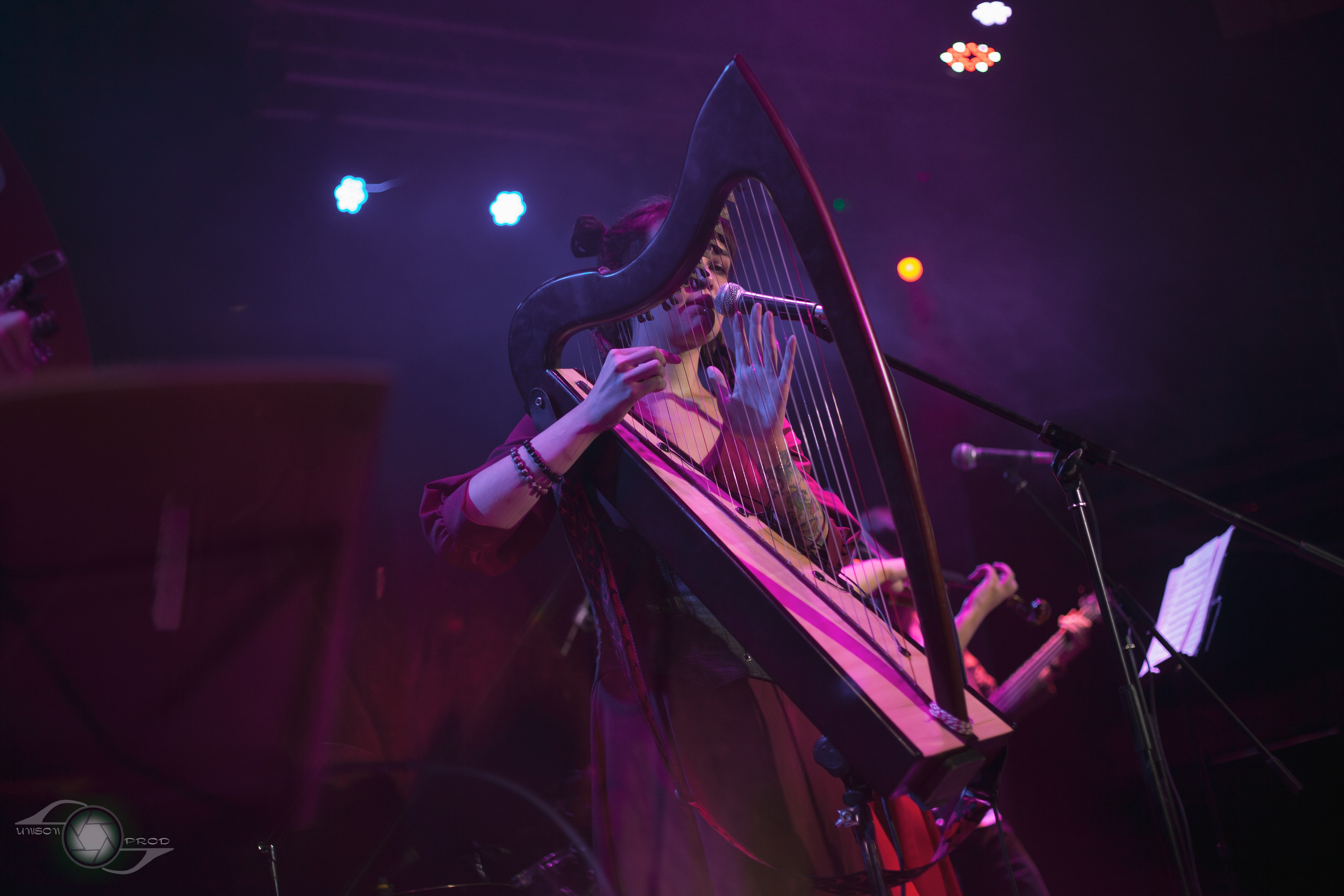 Фолк-вечер в «MEZZO FORTE». Фотограф Ellairen