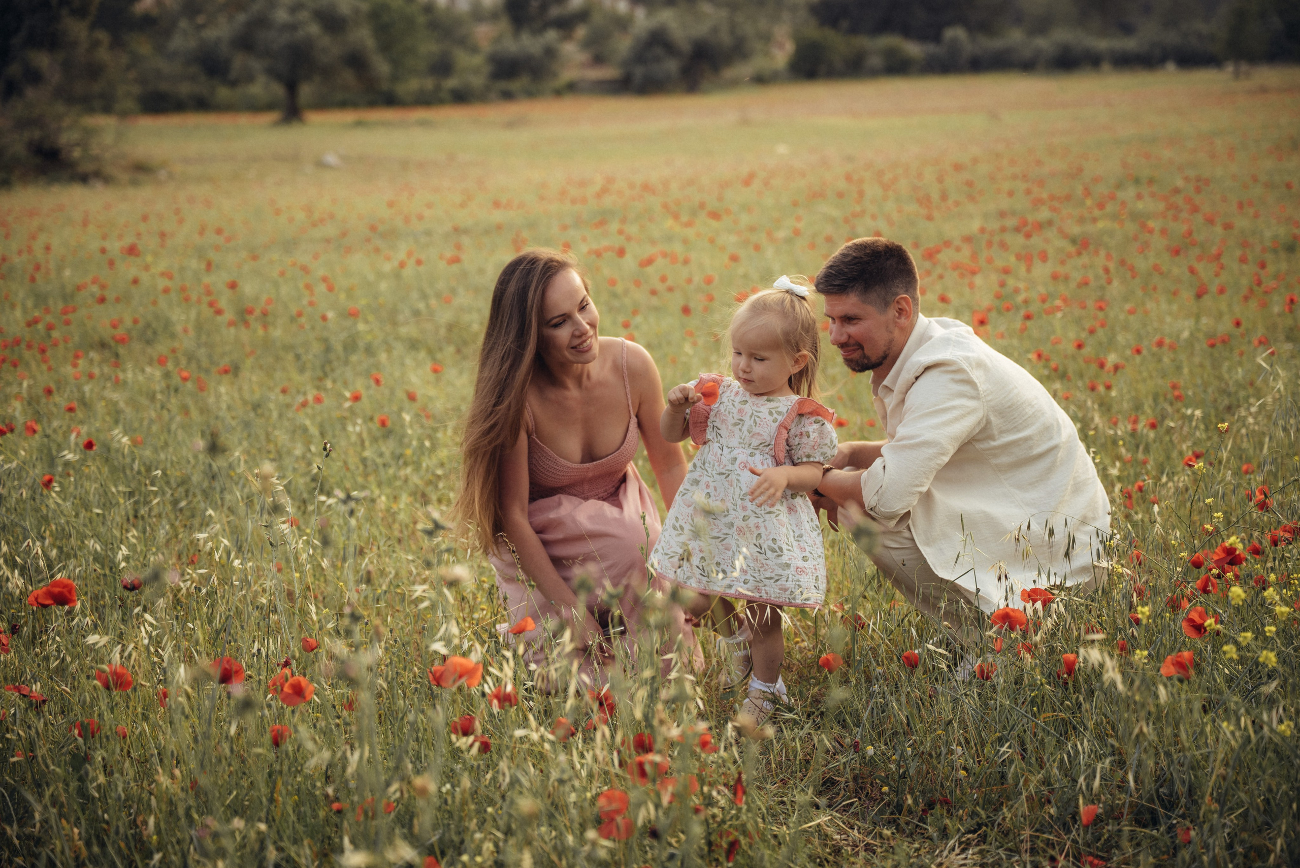 По пути к маковому полю. Анна Лобанова | фотограф