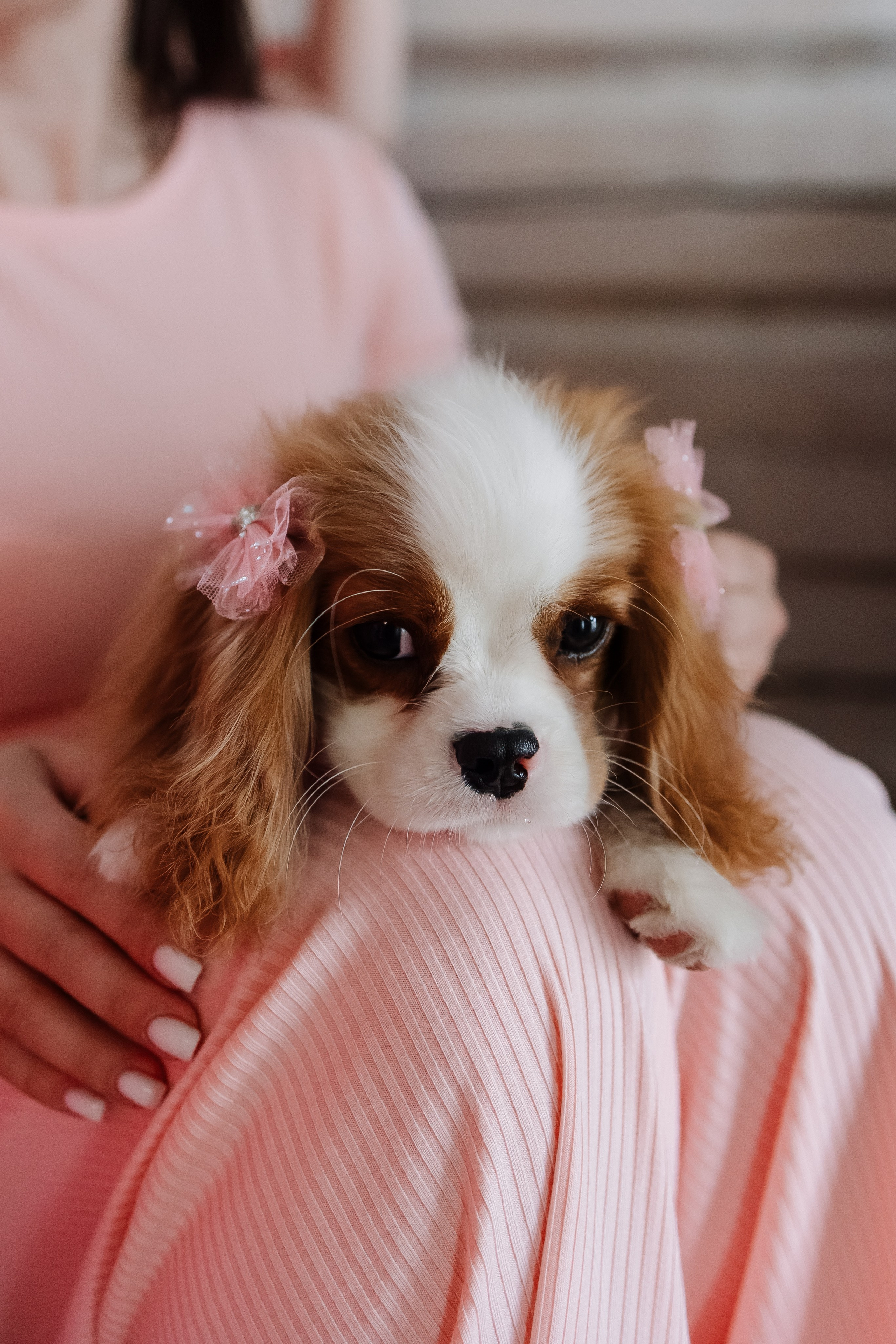Хочу надеть купальник (Николаево). Свадебный фотограф