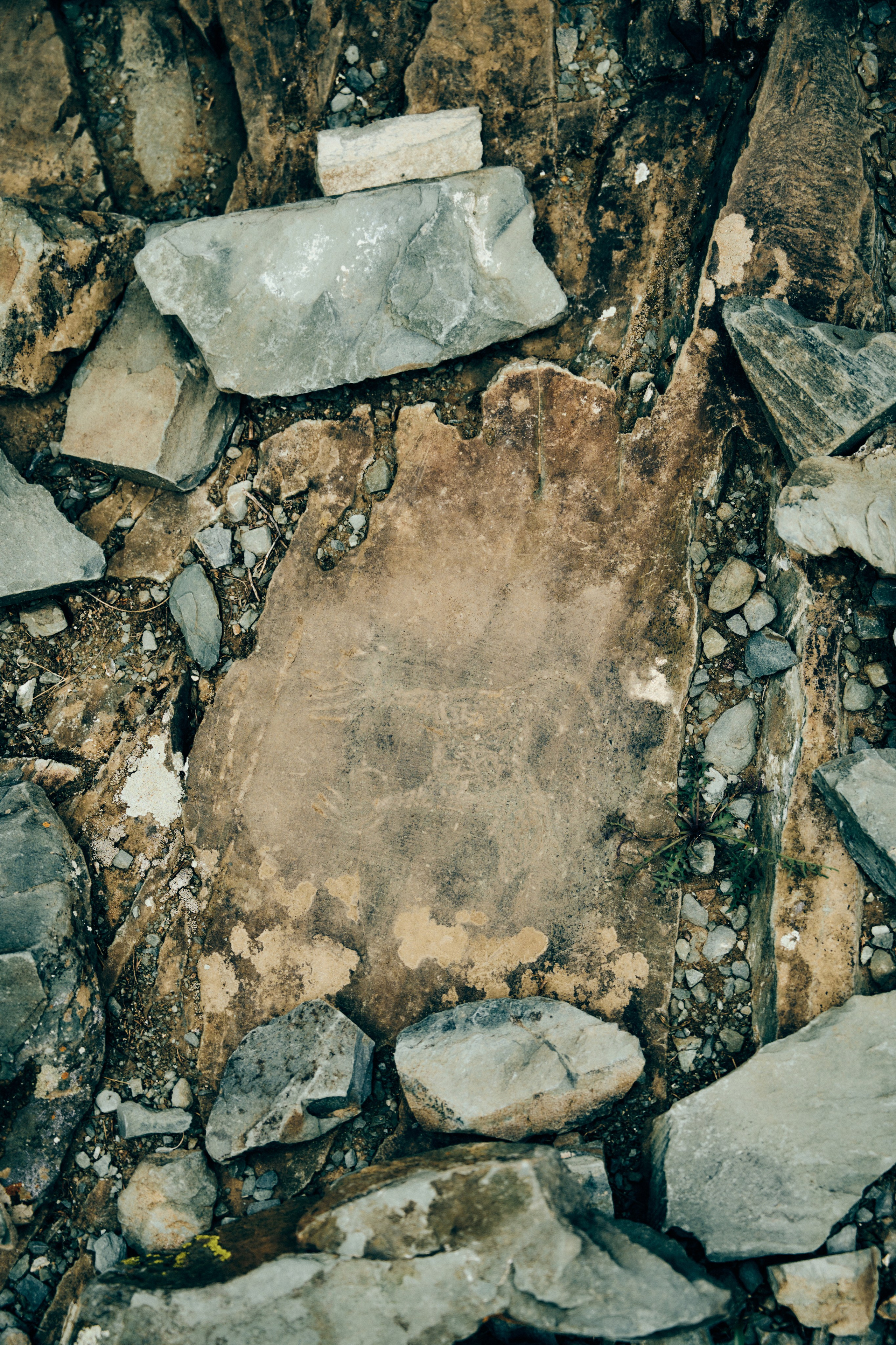 BAON x ALTAY. Фотограф Сурков Никита