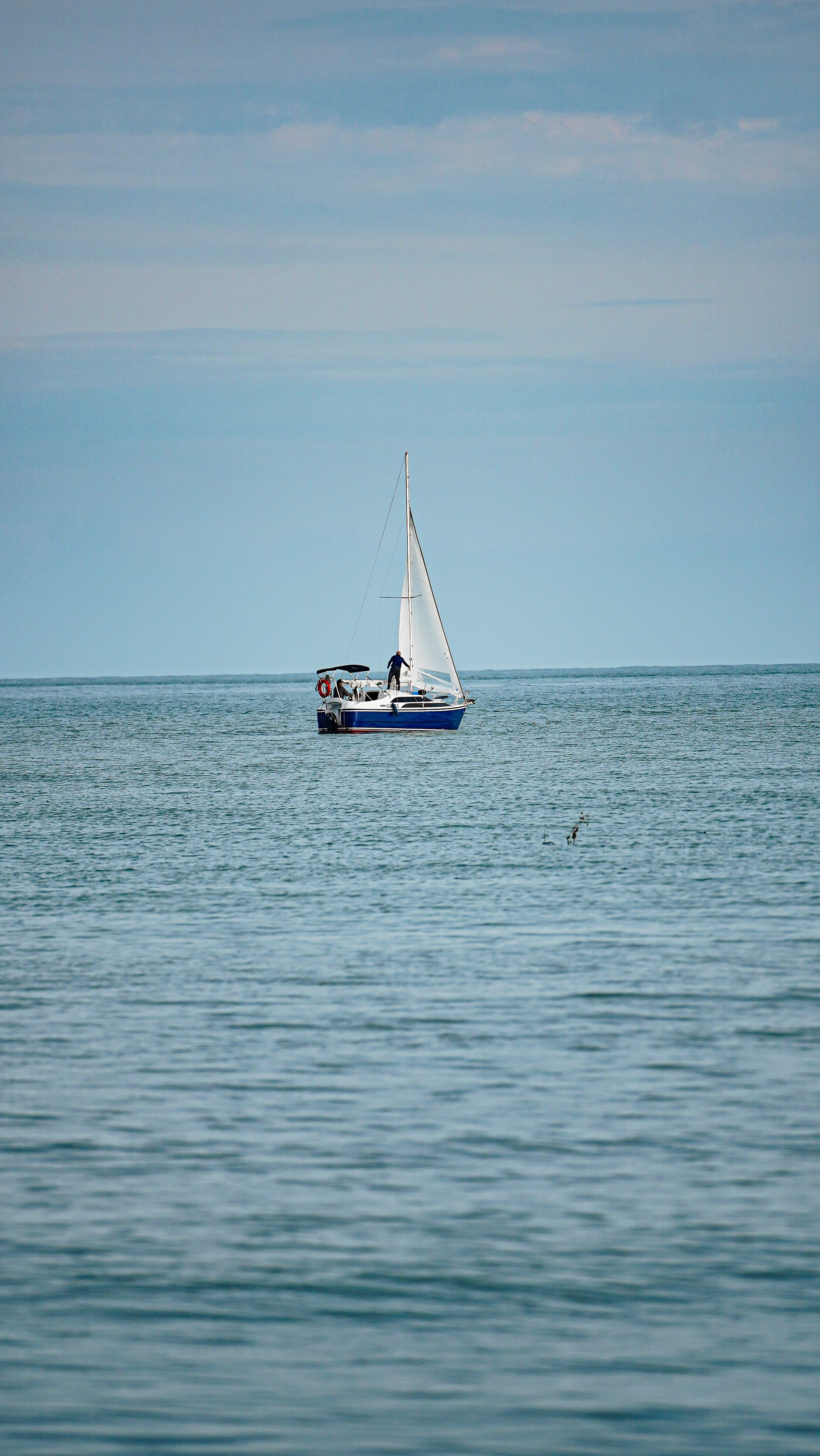 Заставки. Главная