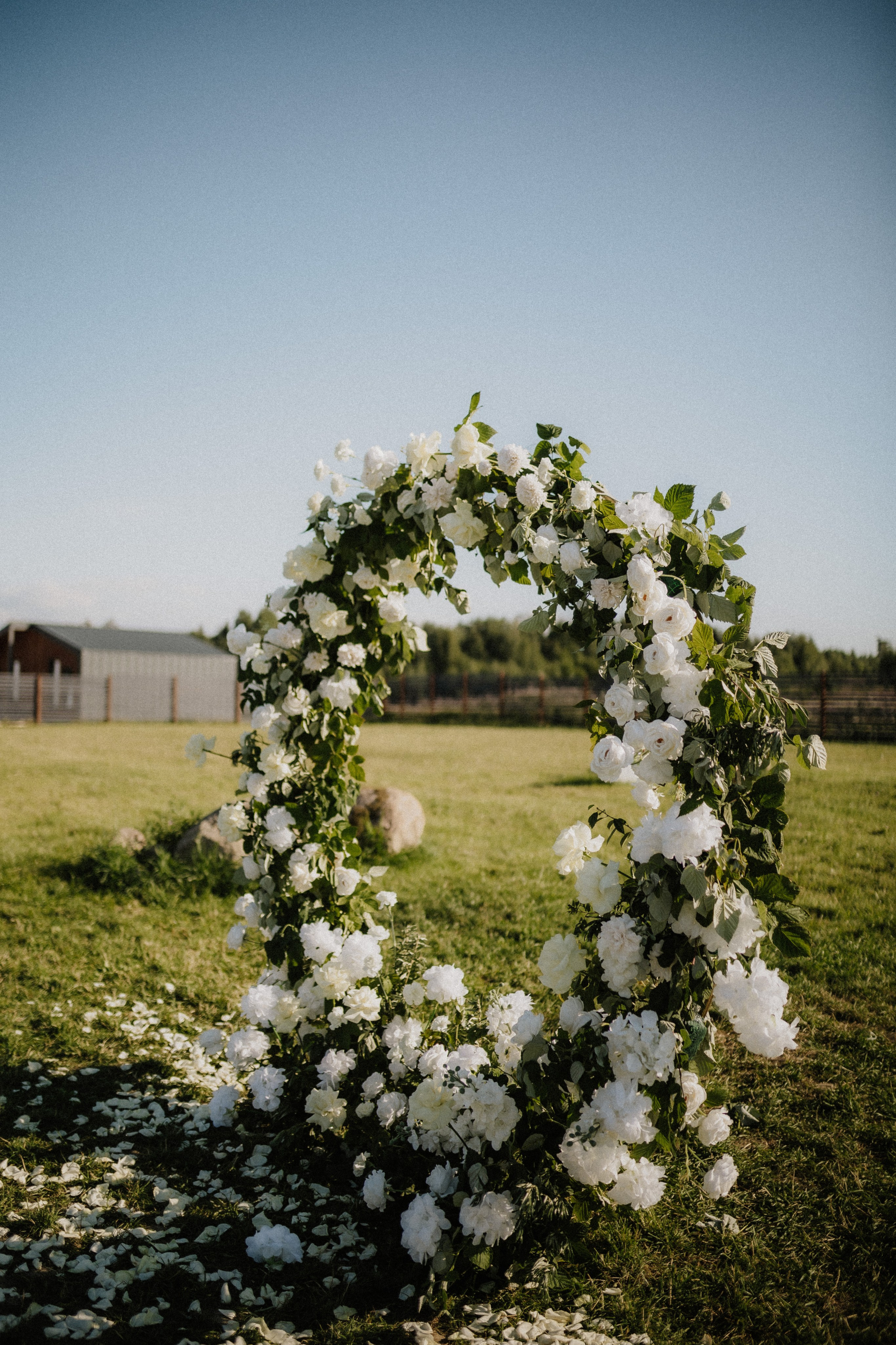 Александр и Екатерина. Свадебный фотограф в Санкт-Петербурге Анастасия Селиванова