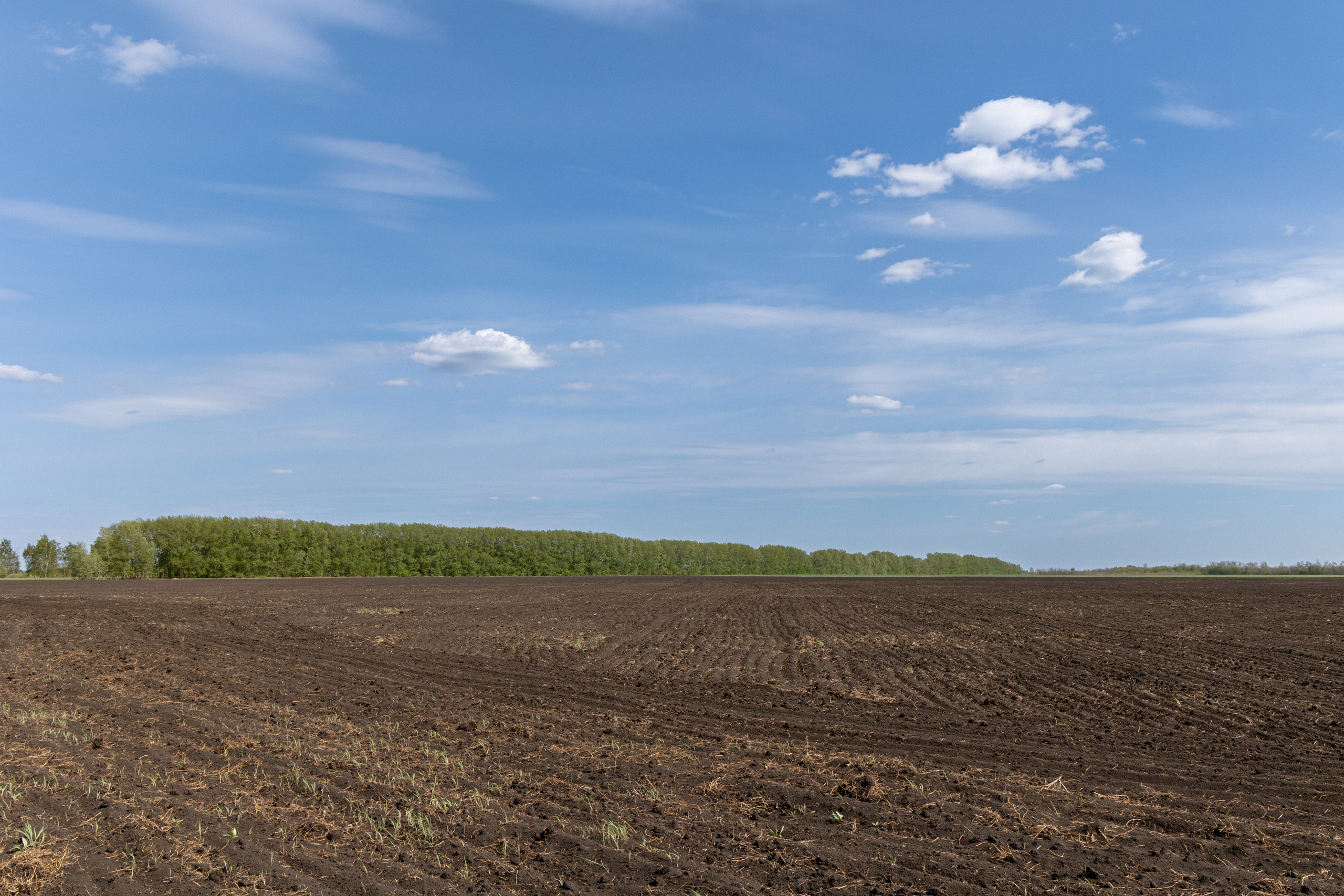 Земельный участок с объектами на нём. Владислав Волков | Фотография и видеосъемка в Воронеже