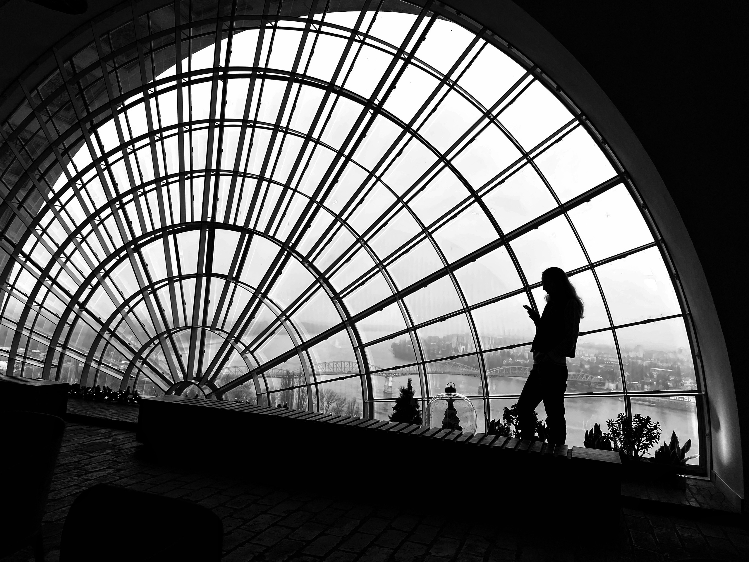 silhouette in the window