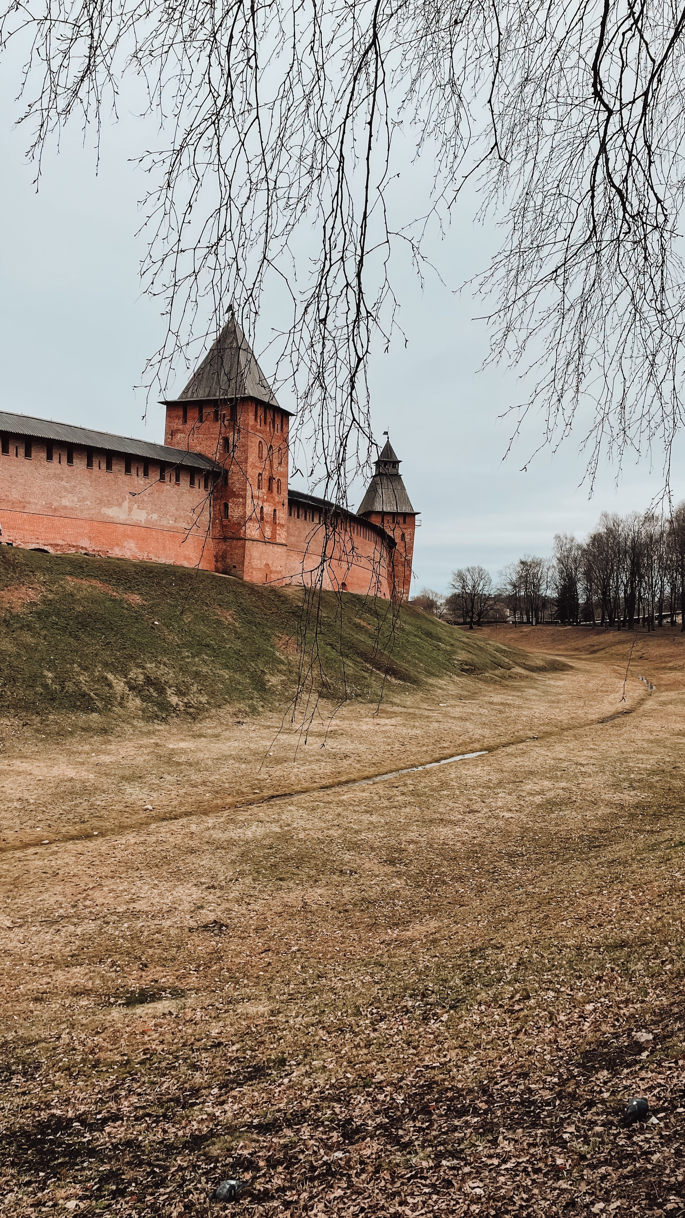 Пейзаж. Фотограф Олеся Шипихина г. Москва