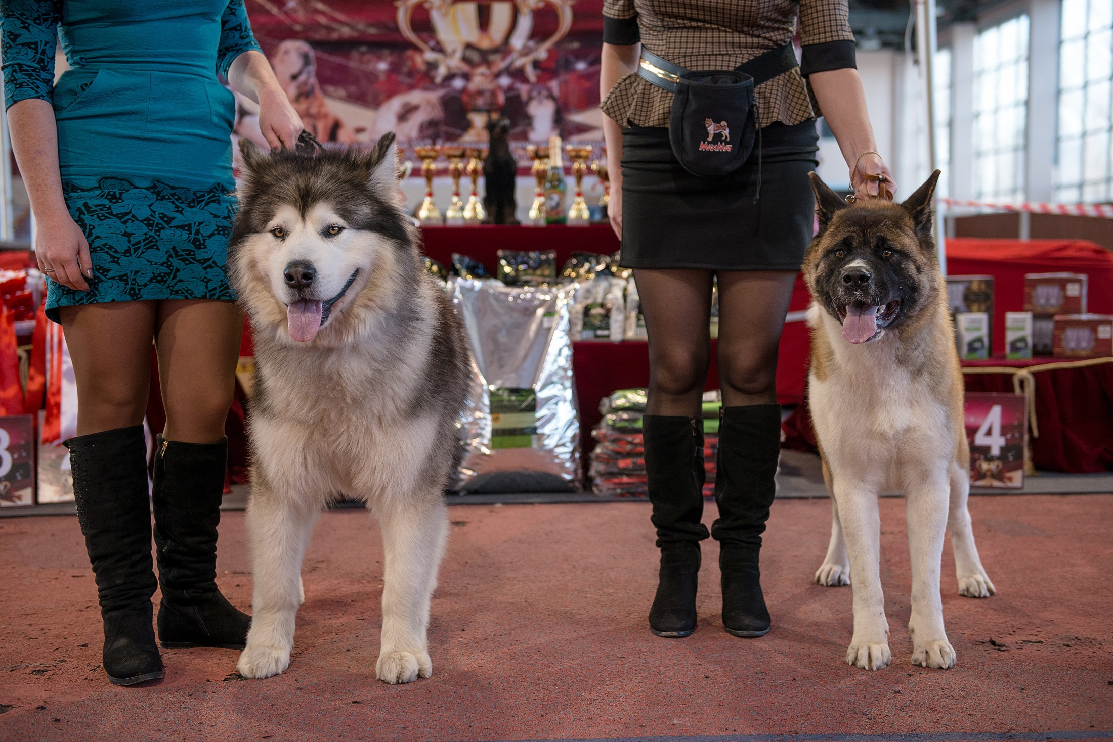 Для СМИ. Фотограф в Калининграде Сулейманов Амирхан