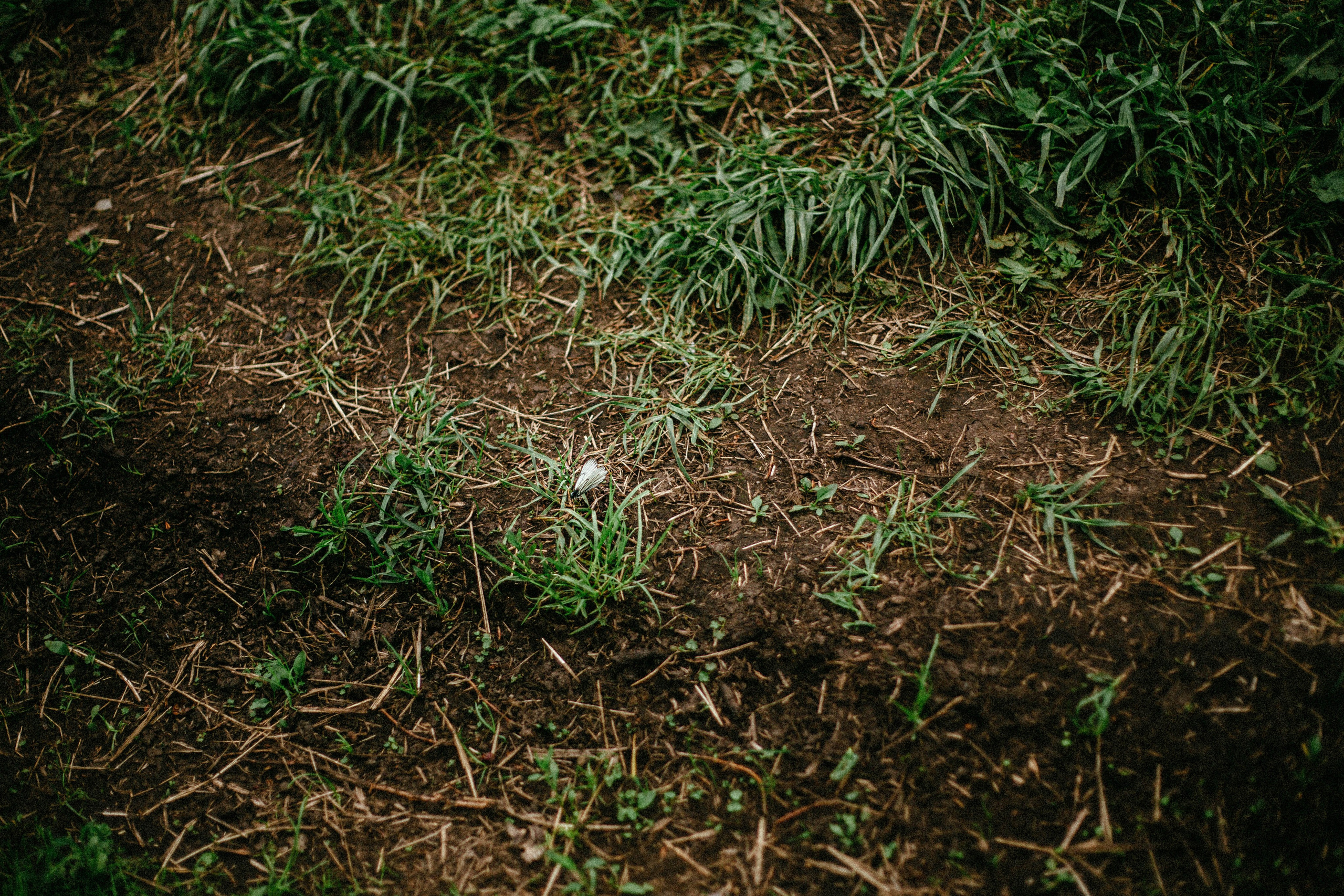 Сбежавшая невеста. Арт-фотограф Крис Л. в Тобольске: портрет, семейные, свадьбы