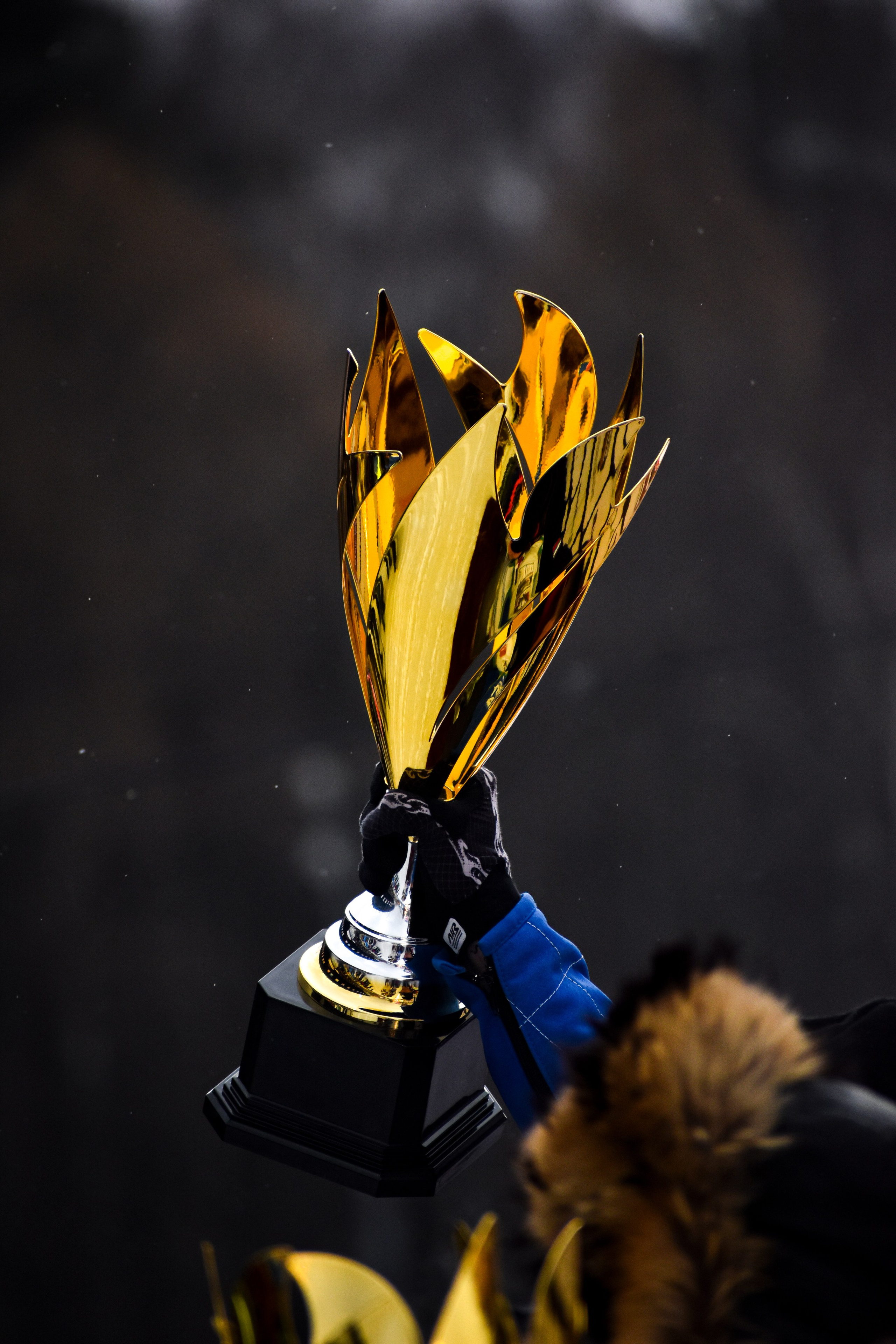 Ледовый спидвей 2025. Голосов Дмитрий — автоспортивный фотограф