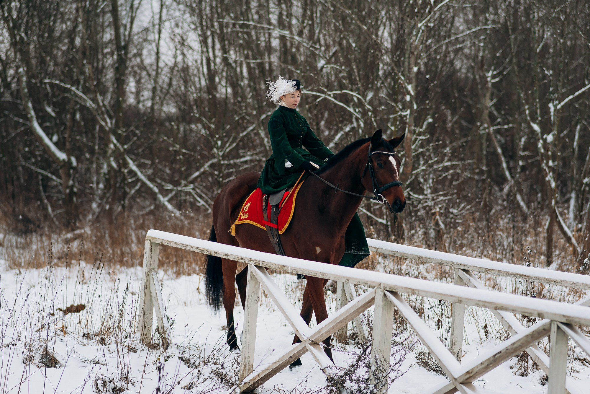 Анна и Рокки. Свадебный и репортажный фотограф в Ярославле Евгений Сальников