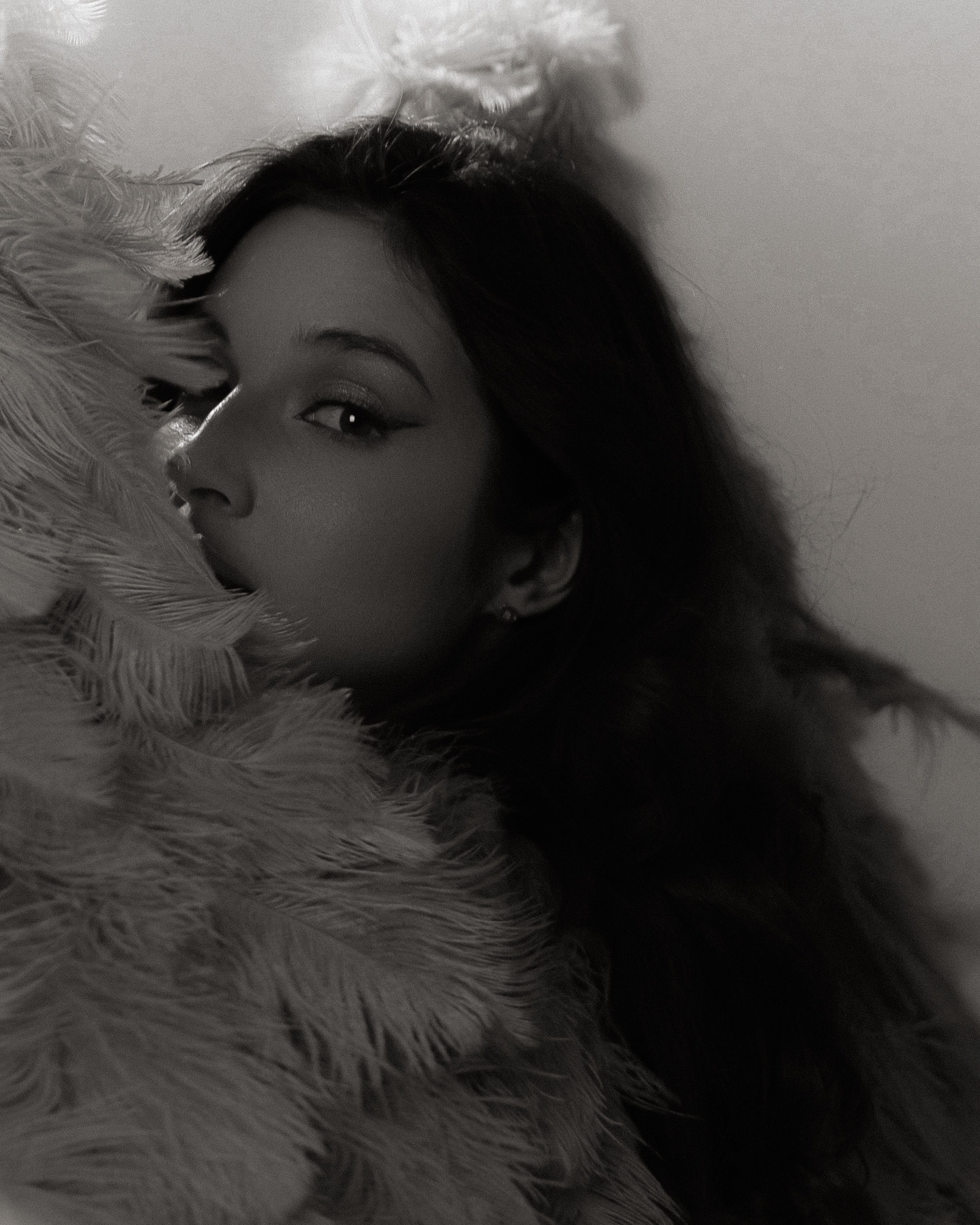 Камелия. DARYA.BELKINA