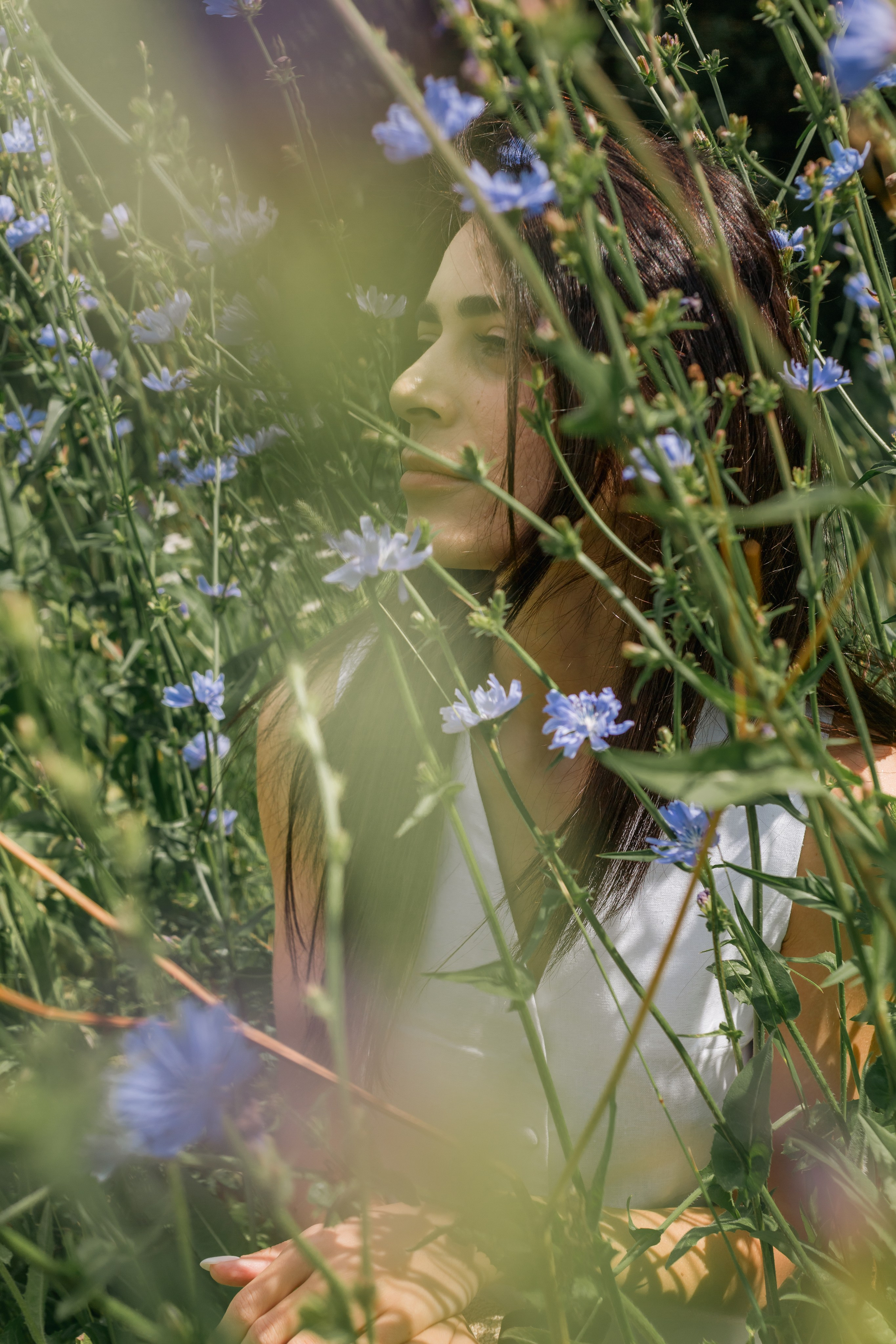 В густой траве. Khalimonov