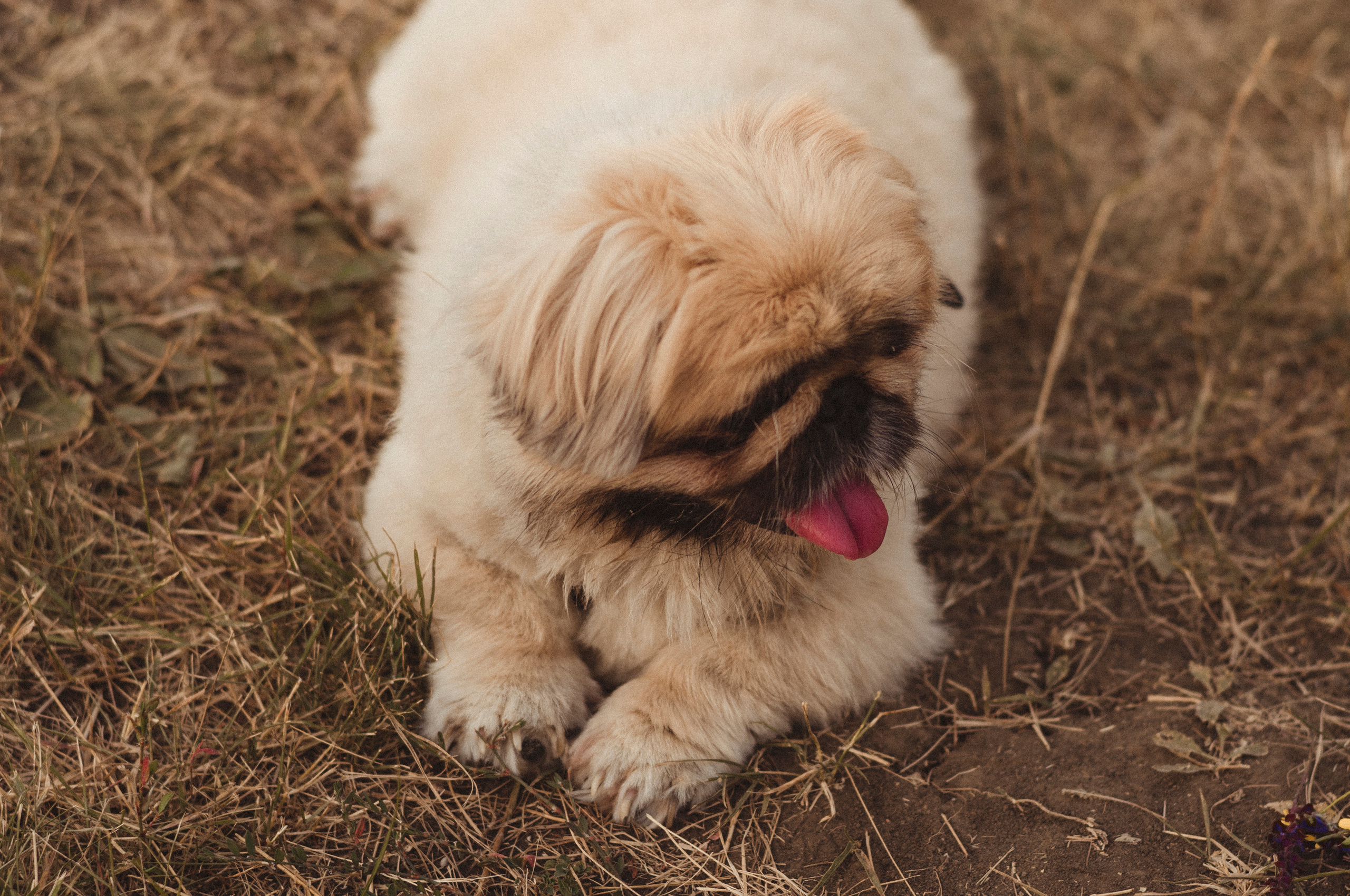 Семья Веры. Фотограф Катерина Тюрина. Саратов