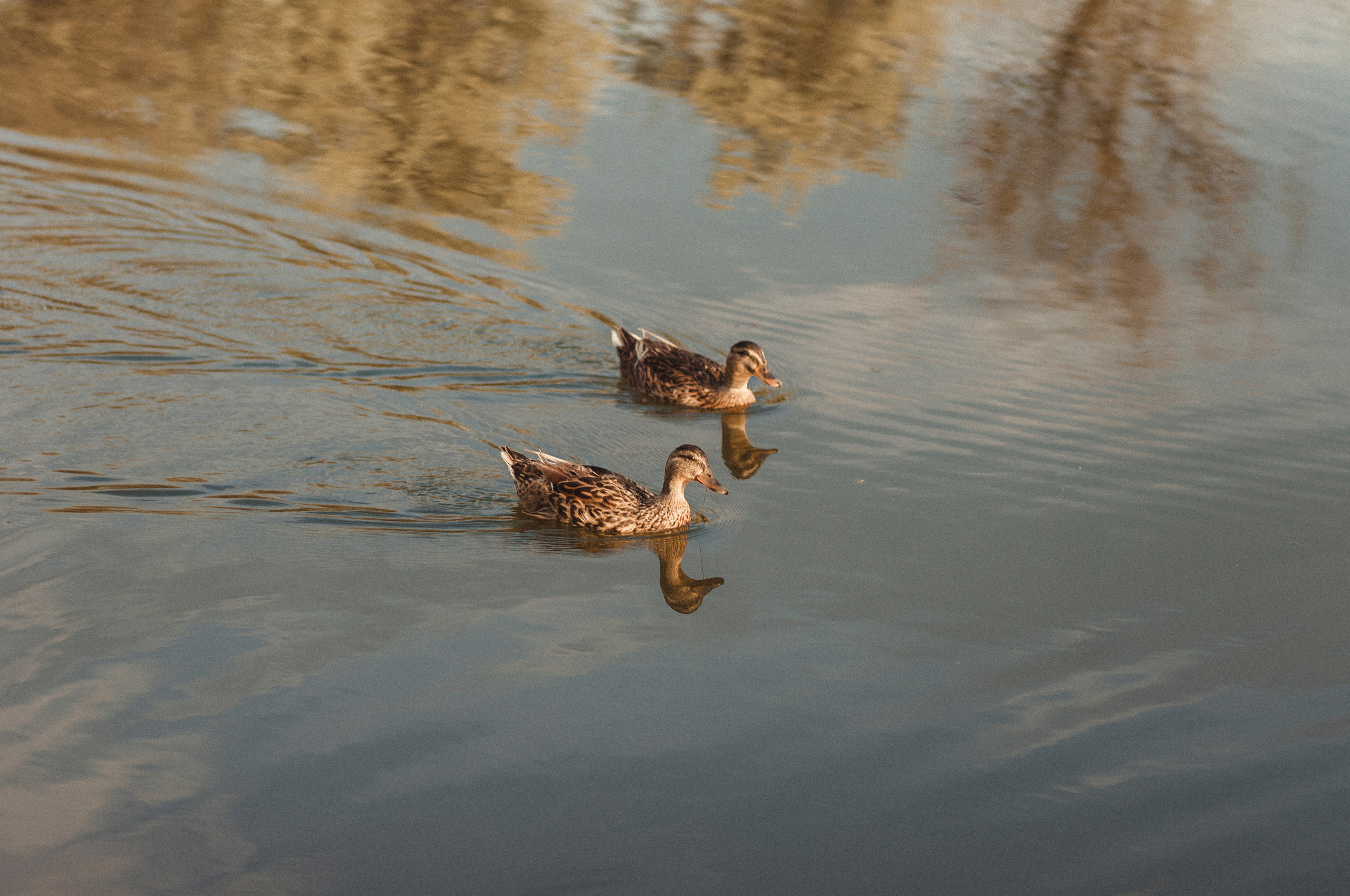Семья Веры. Фотограф Катерина Тюрина. Саратов
