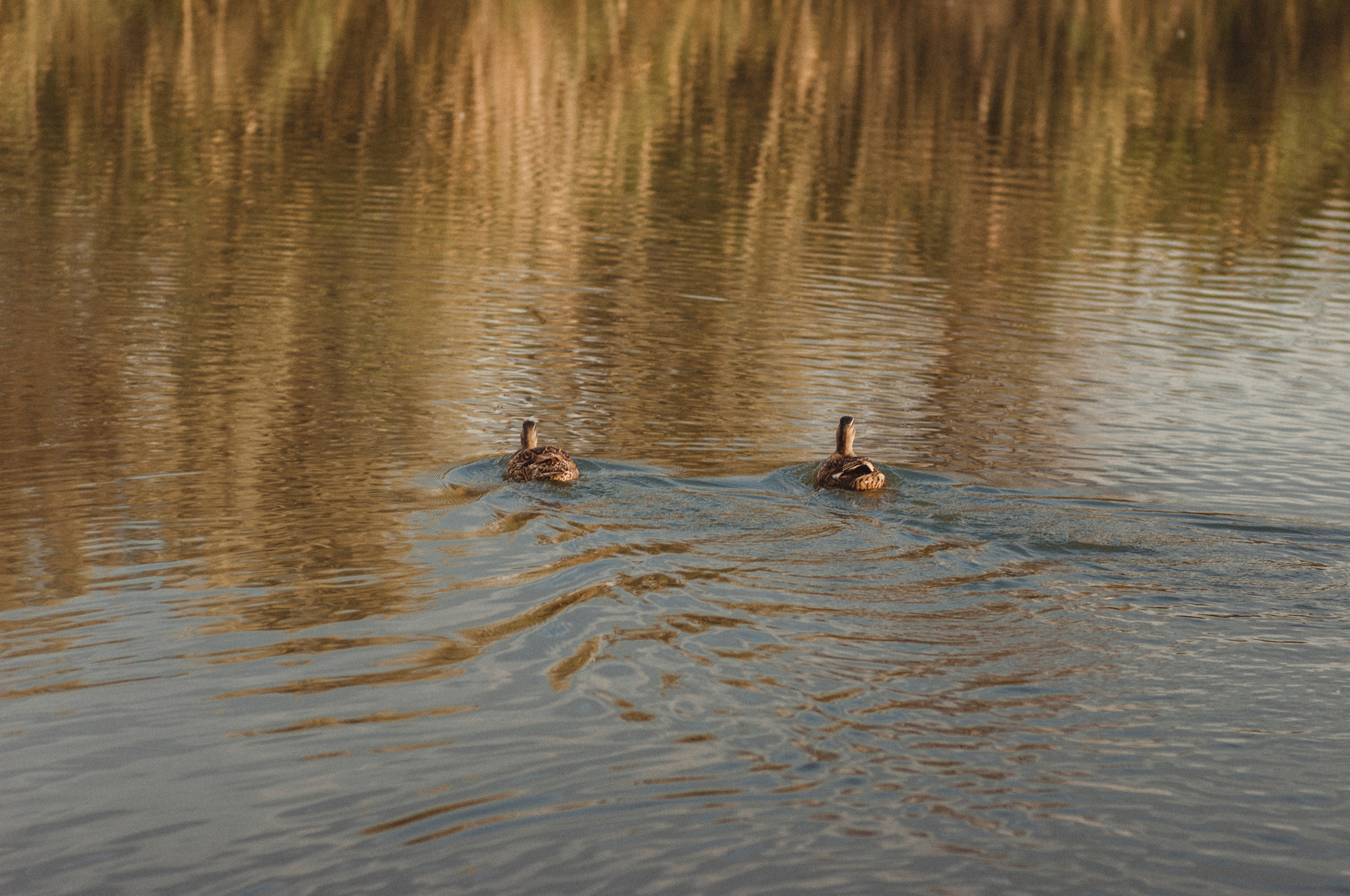Семья Веры. Фотограф Катерина Тюрина. Саратов