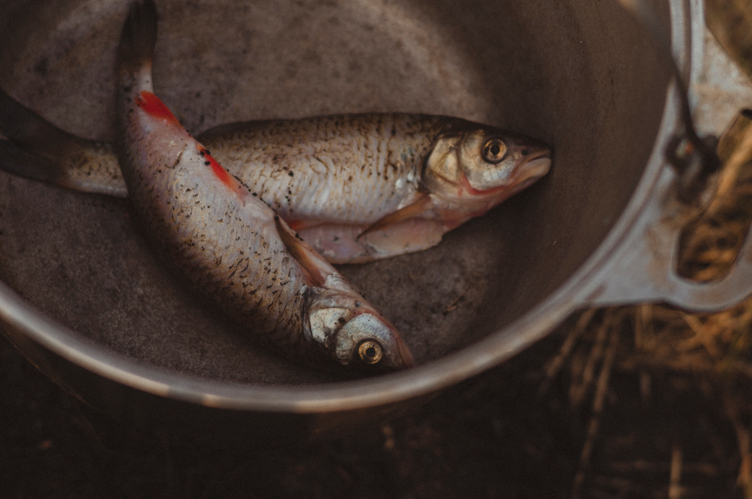 Семья Веры. Фотограф Катерина Тюрина. Саратов